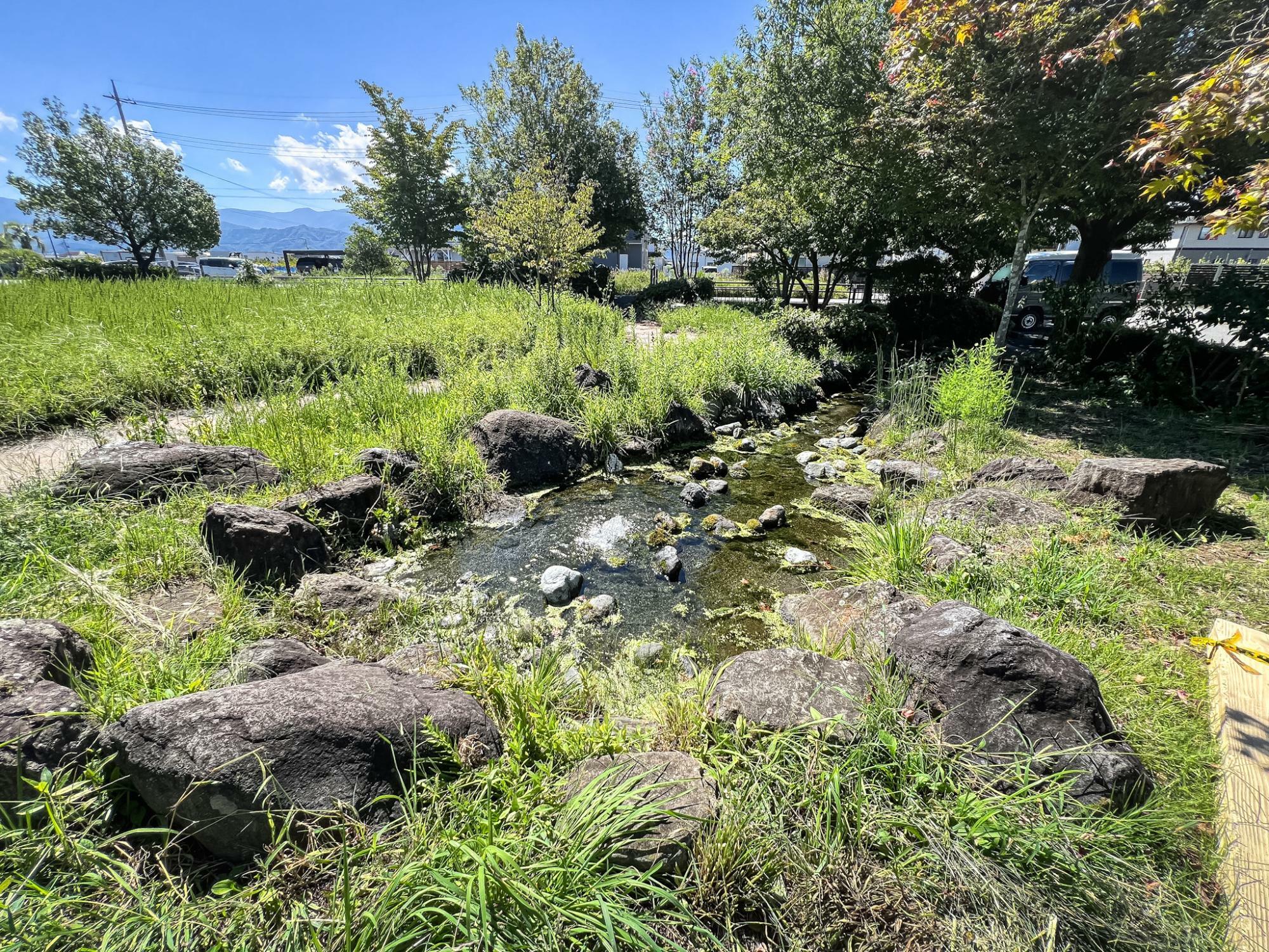 池は湧水？どこからか水を引いてきているのでしょうか？