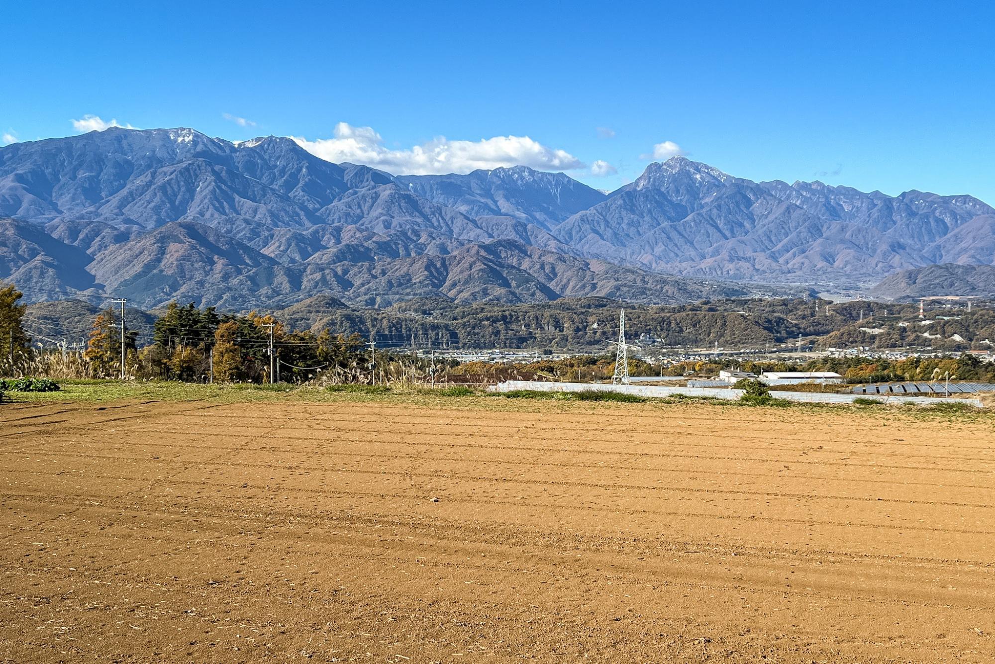 鳳凰三山、アサヨ峰、甲斐駒ヶ岳、鋸岳の眺望。夏は一面のひまわり畑