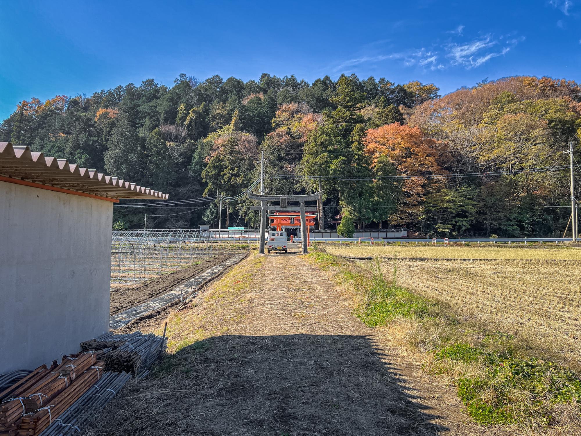 背景の紅葉が良き