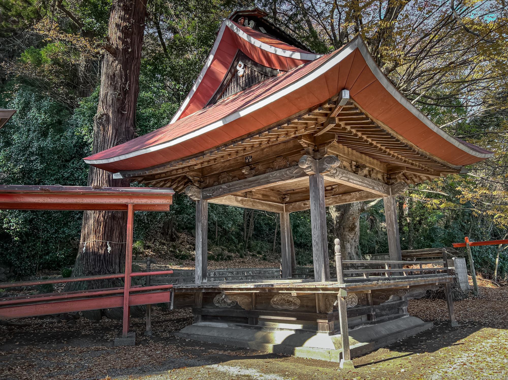 杉の御神木も立派でした