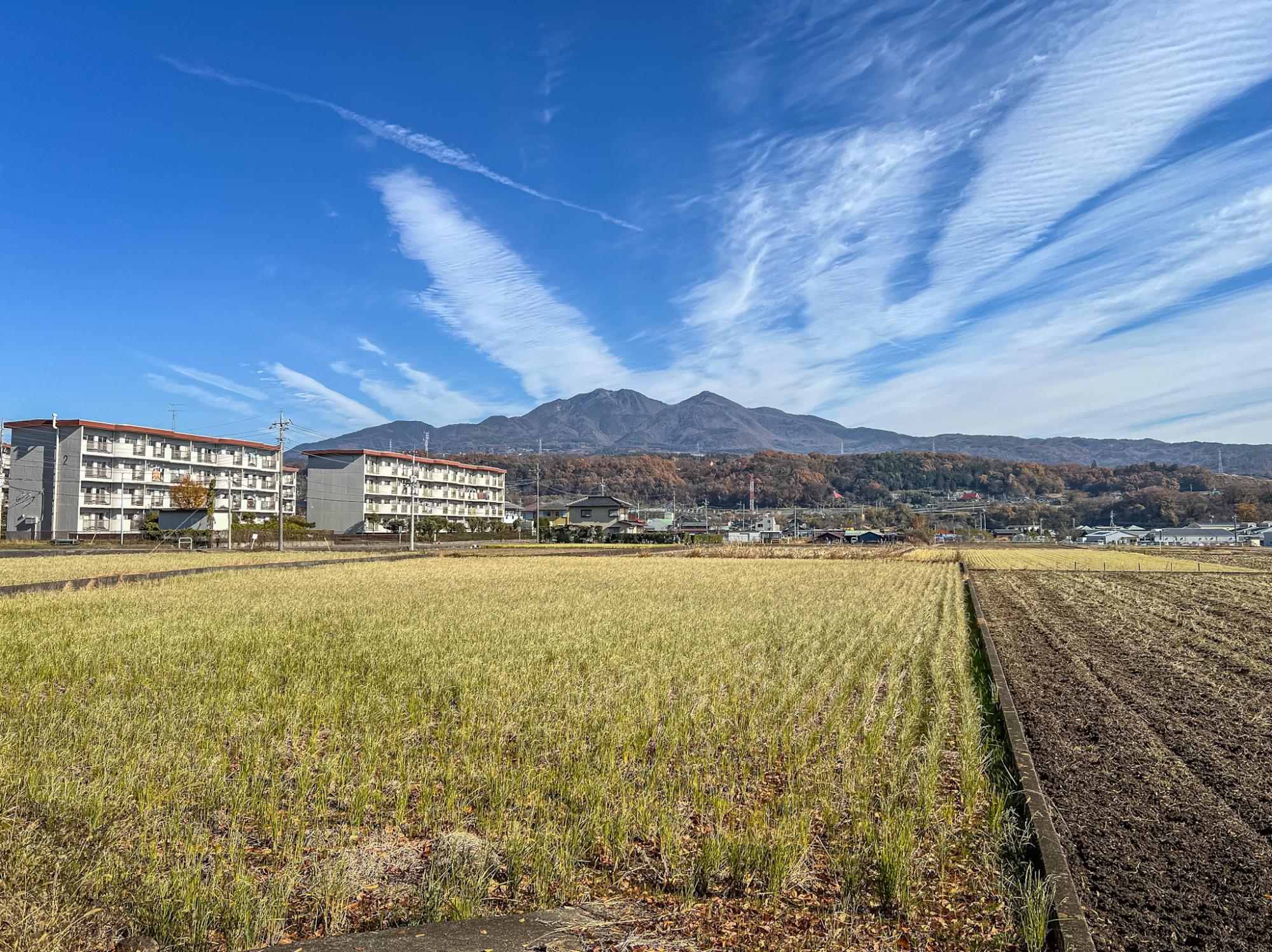 正面の山は、金ヶ岳（左）と茅ヶ岳（右）