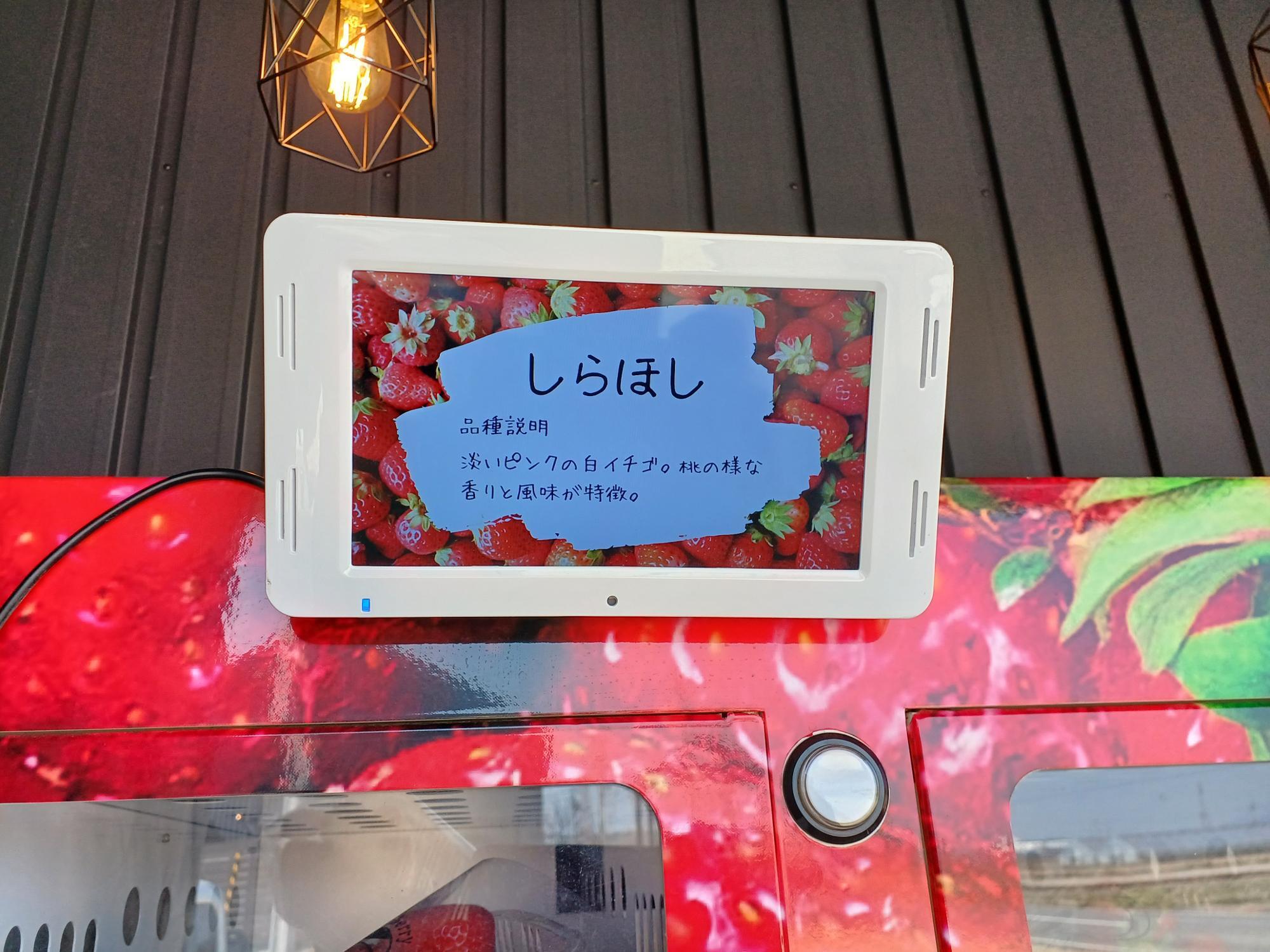 小野市】早い者勝ち!自動販売機で買えると話題のおいしいイチゴ 小野市】早い者勝ち!自動販売機で買えると話題のおいしいイチゴ