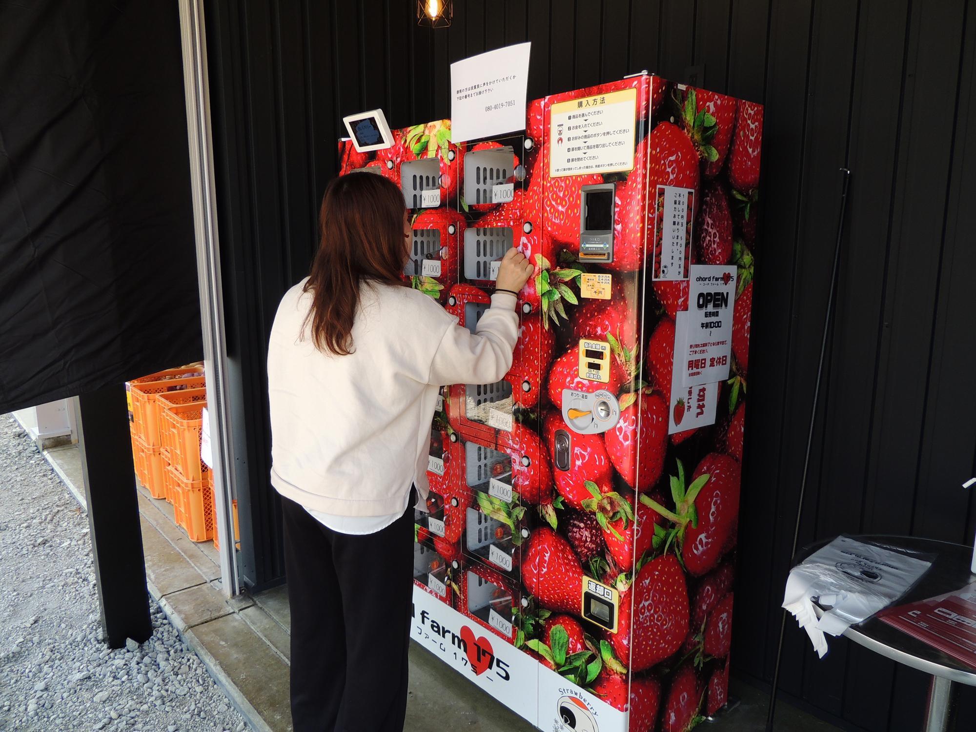 小野市】早い者勝ち!自動販売機で買えると話題のおいしいイチゴ 小野市】早い者勝ち!自動販売機で買えると話題のおいしいイチゴ