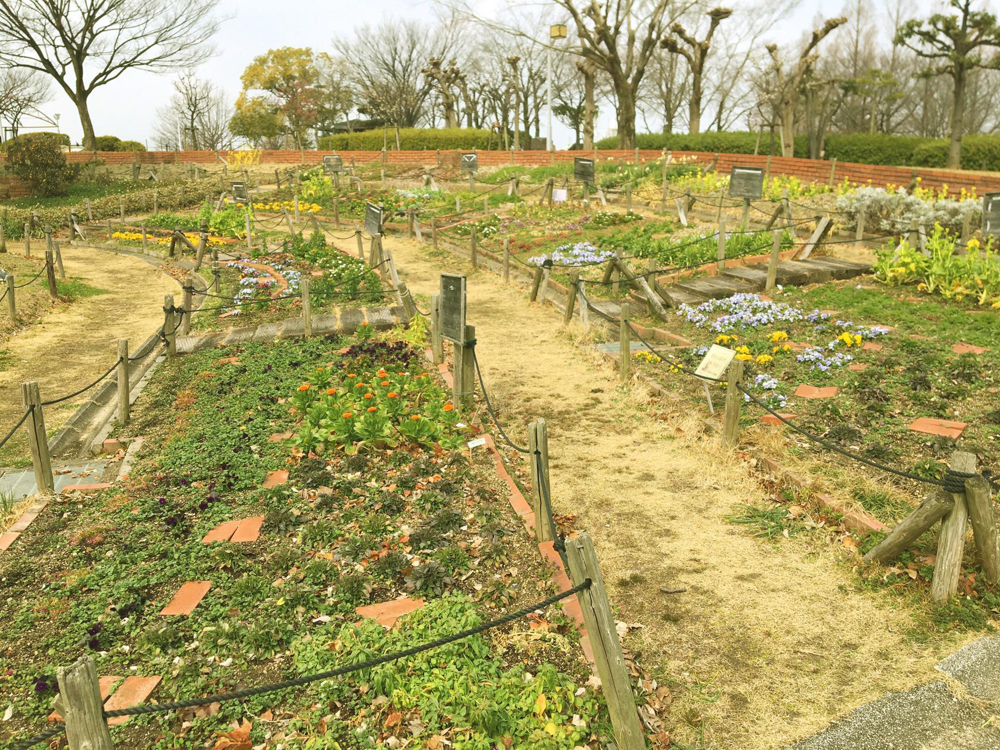 花園公園花壇