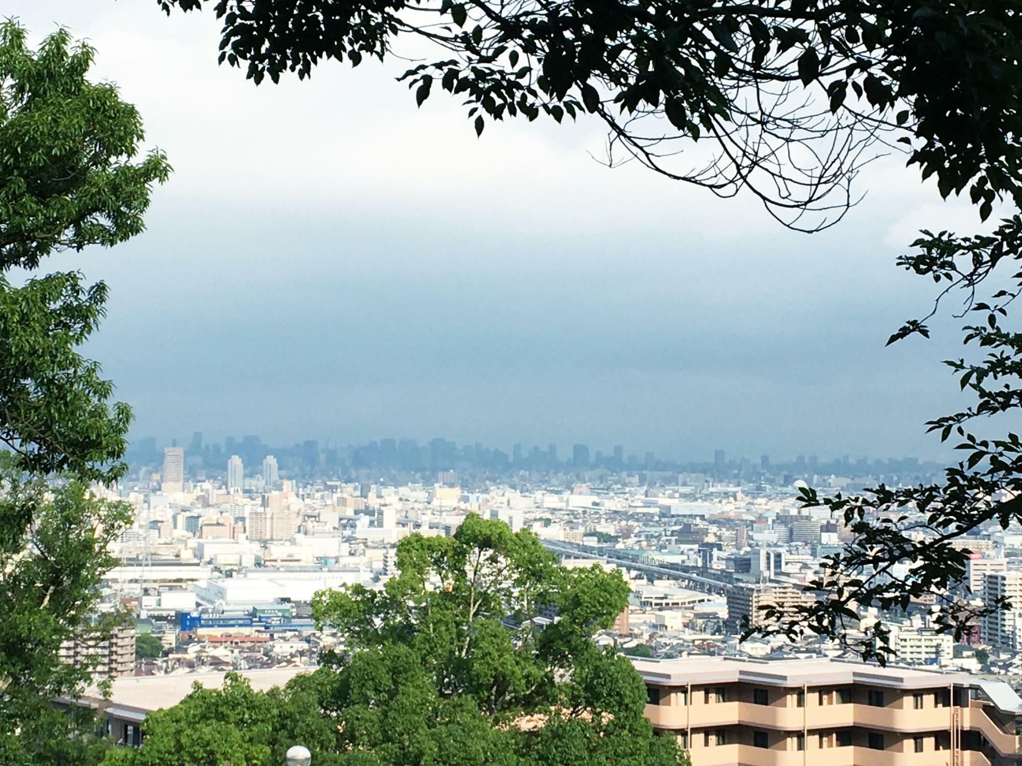 枚岡公園「森のどんぐりたち」からの眺め