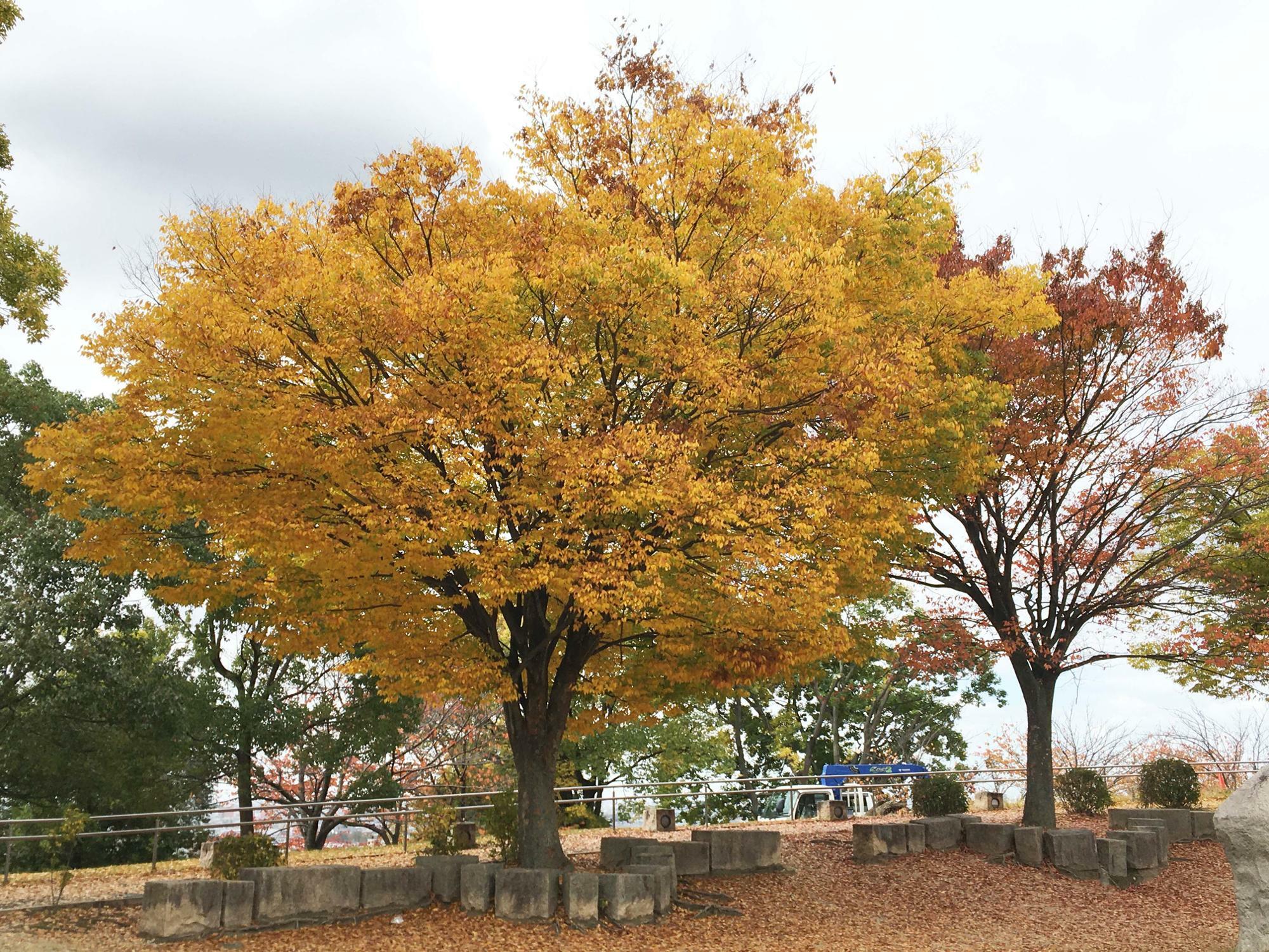 東石切公園