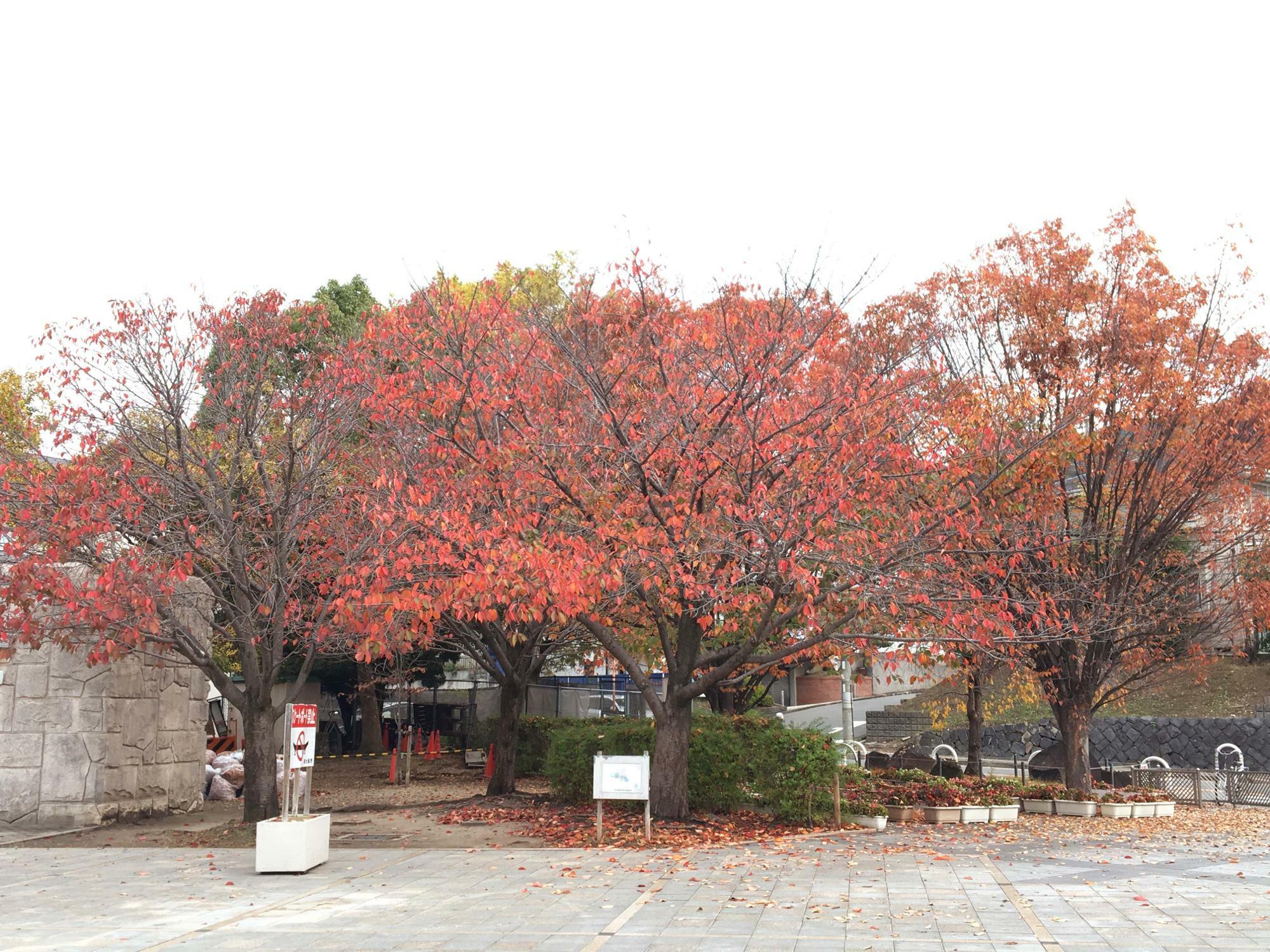 東石切公園