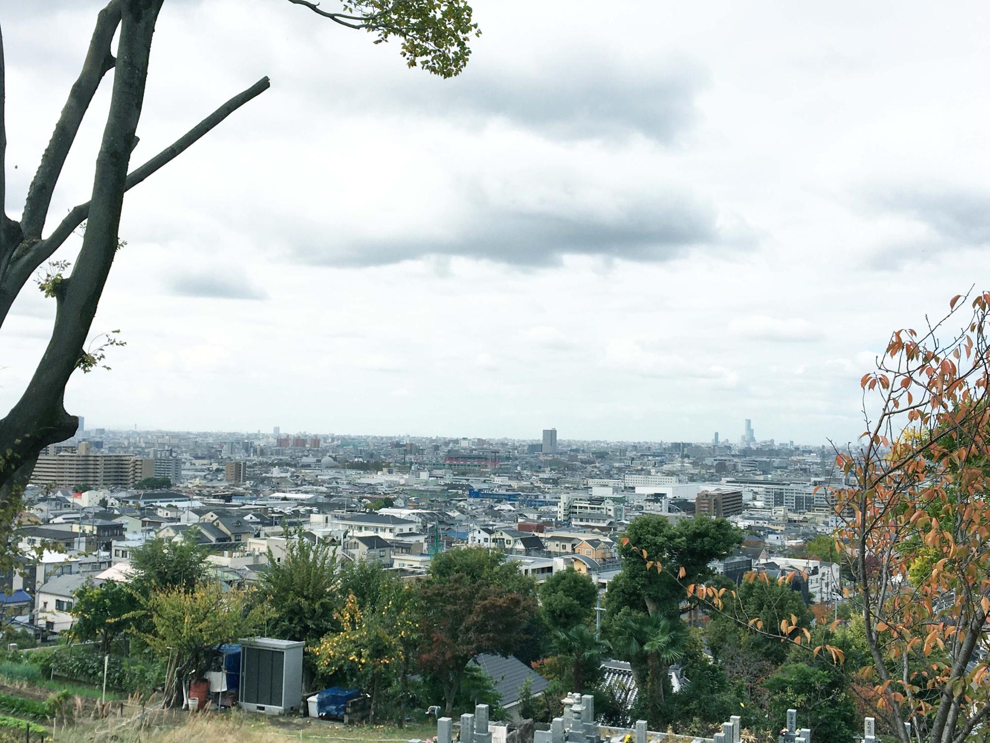 【東大阪市】石切自慢の桜並木。現在は紅葉のトンネルとして楽しむことができます。(岡田智則) エキスパート Yahoo!ニュース 【東大阪市】石切自慢の桜並木。現在は紅葉のトンネルとして楽しむことができます。(岡田智則) エキスパート Yahoo!ニュース