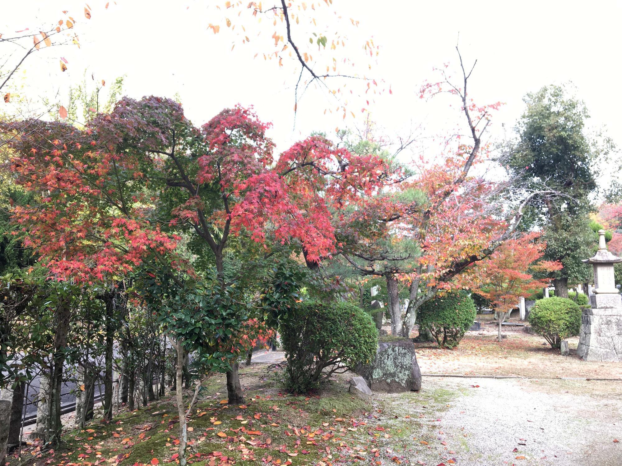 大龍寺