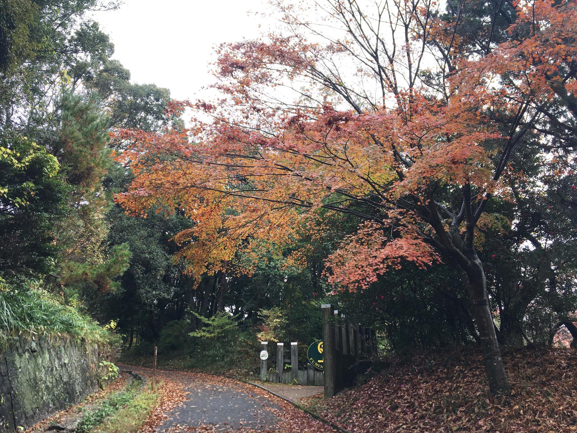 森のレストハウス周辺