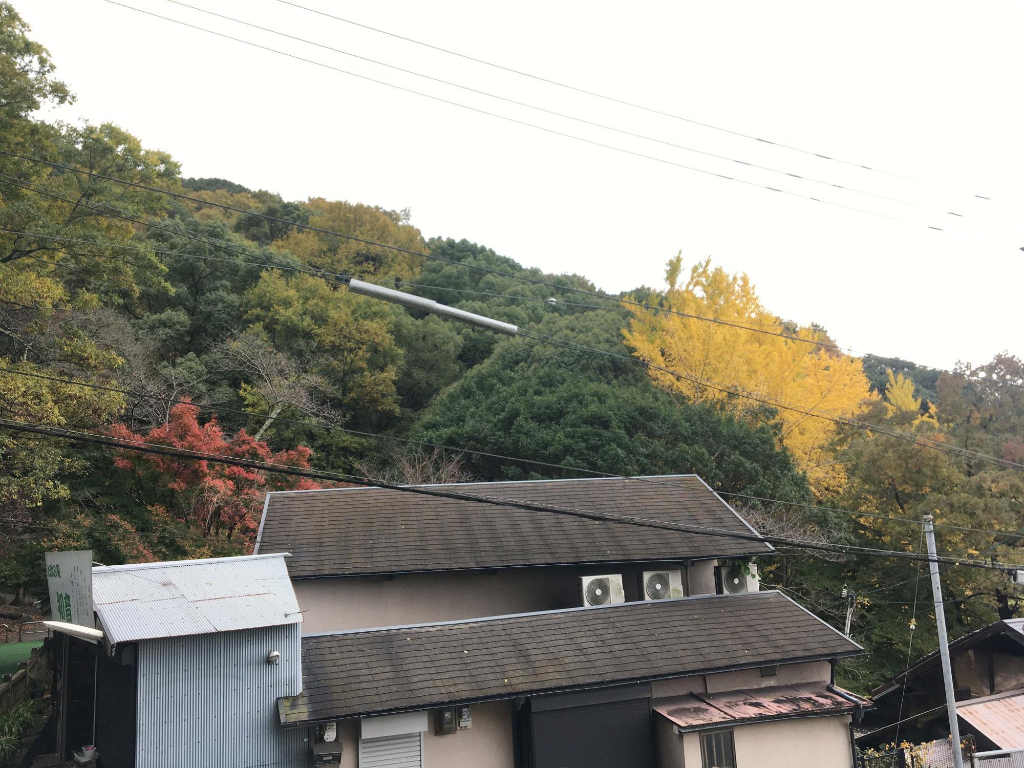 椋ヶ根橋