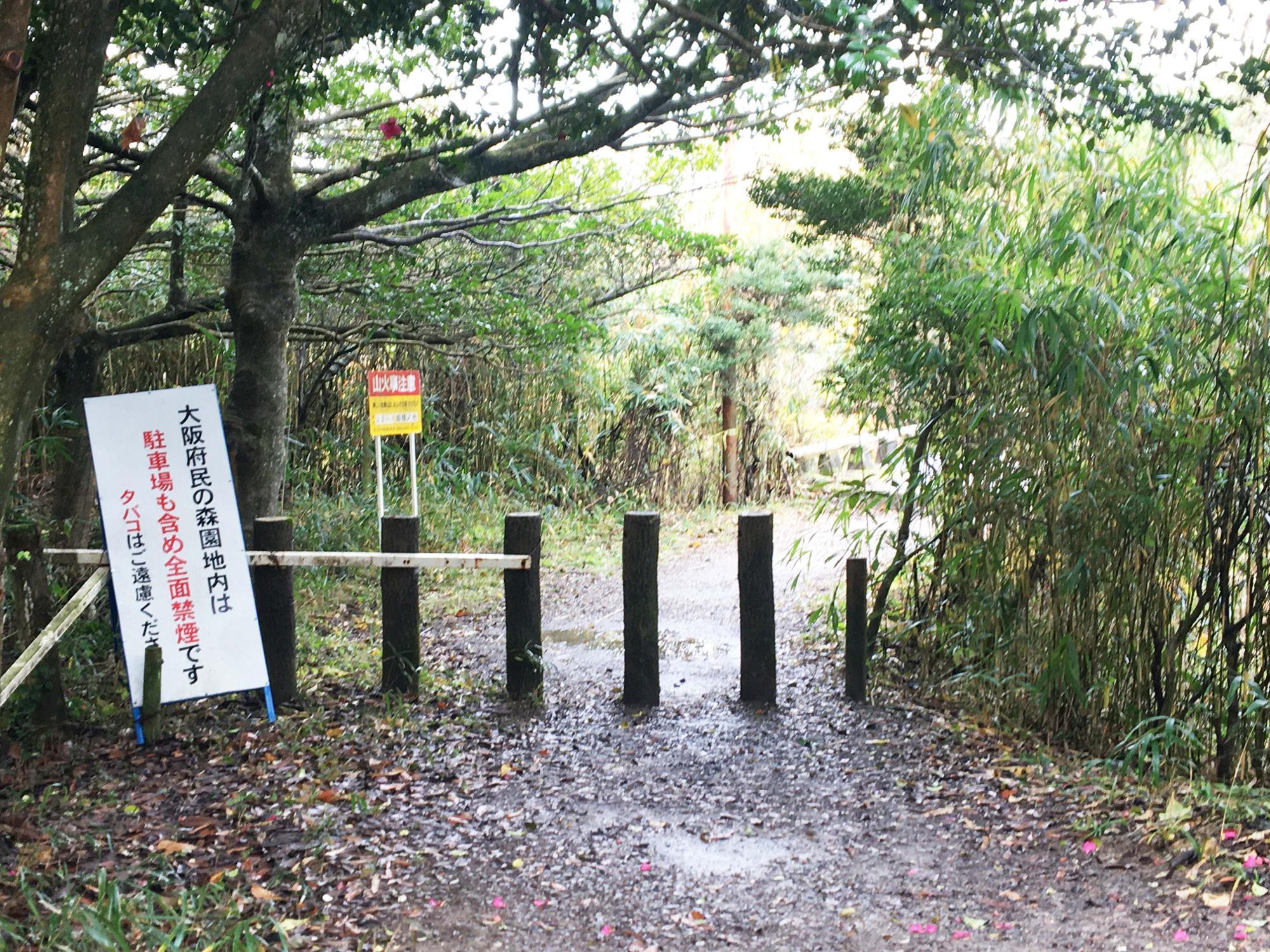 銀樟池入り口