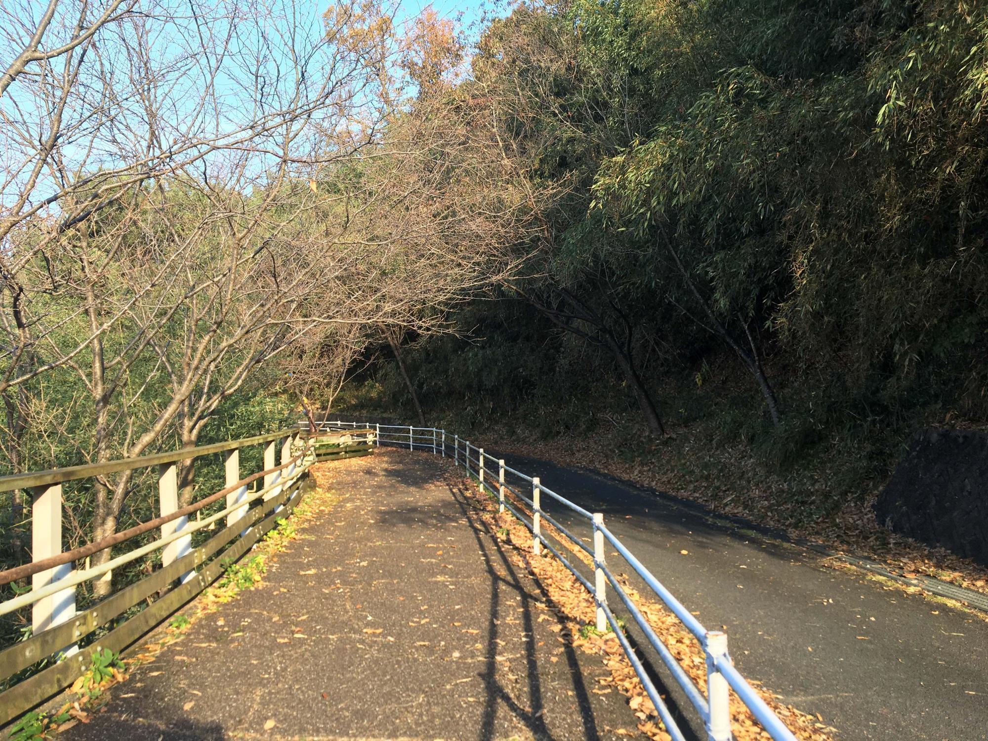 らくらく登山道