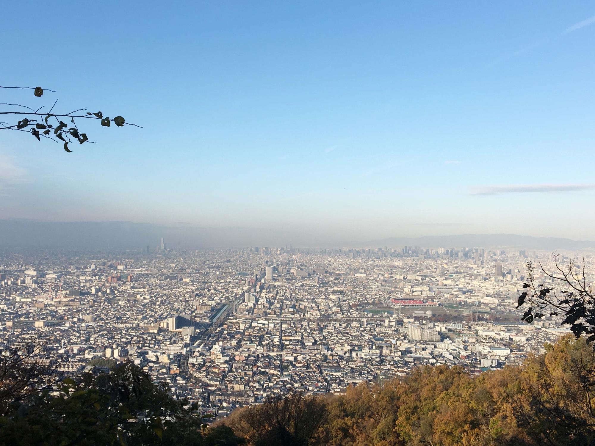 らくらく登山道