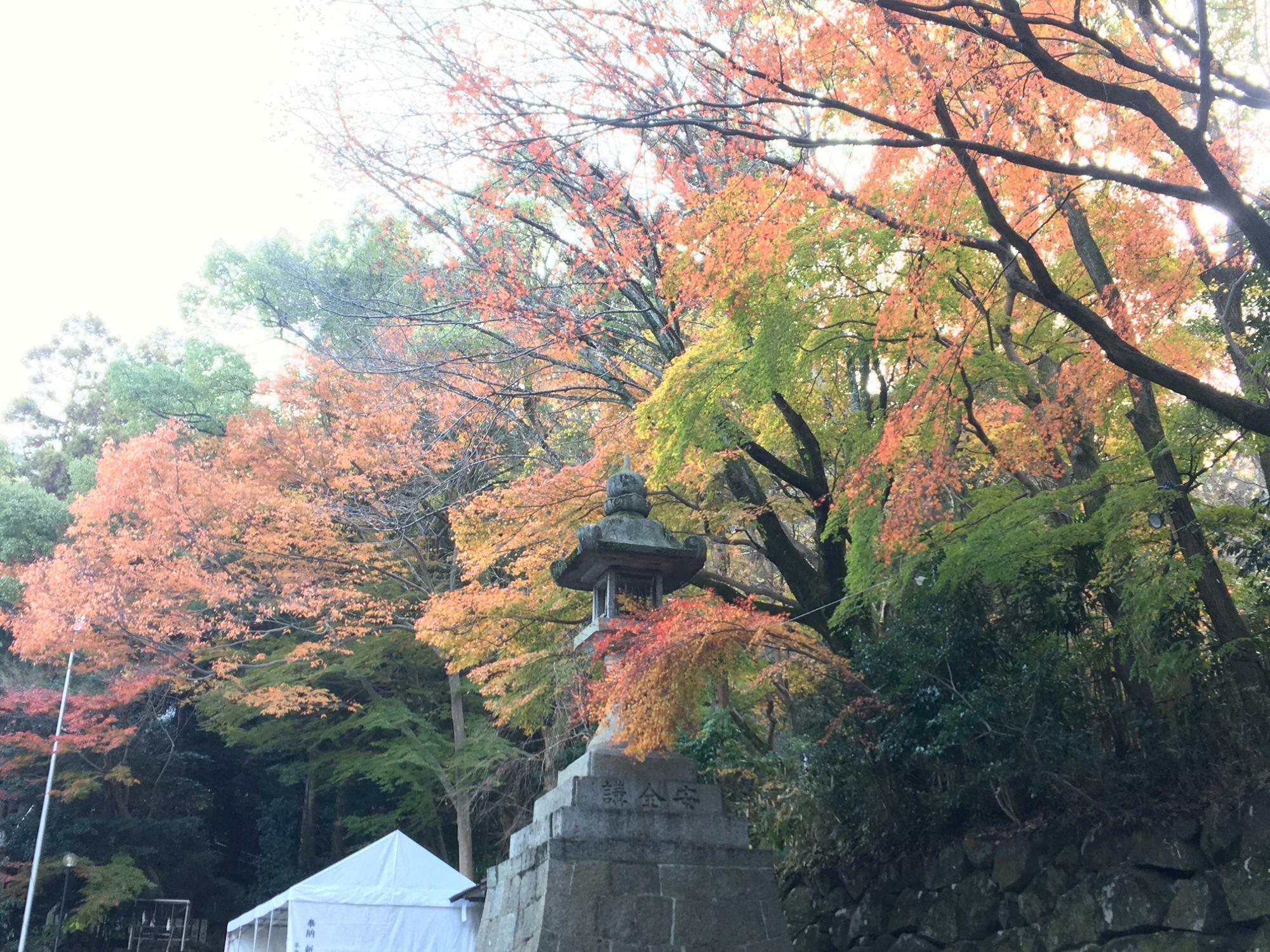 枚岡神社参道の紅葉