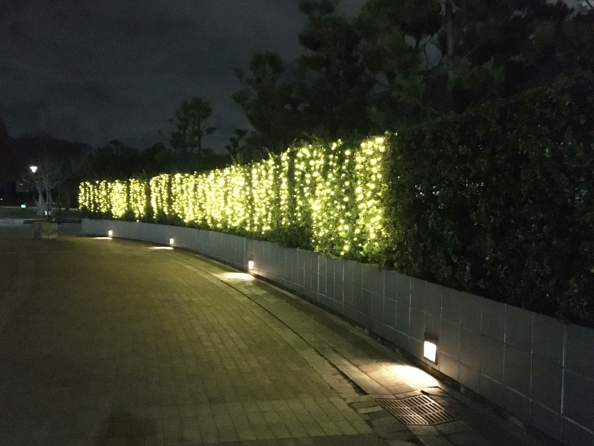 東大阪市民美術センターライトアップ