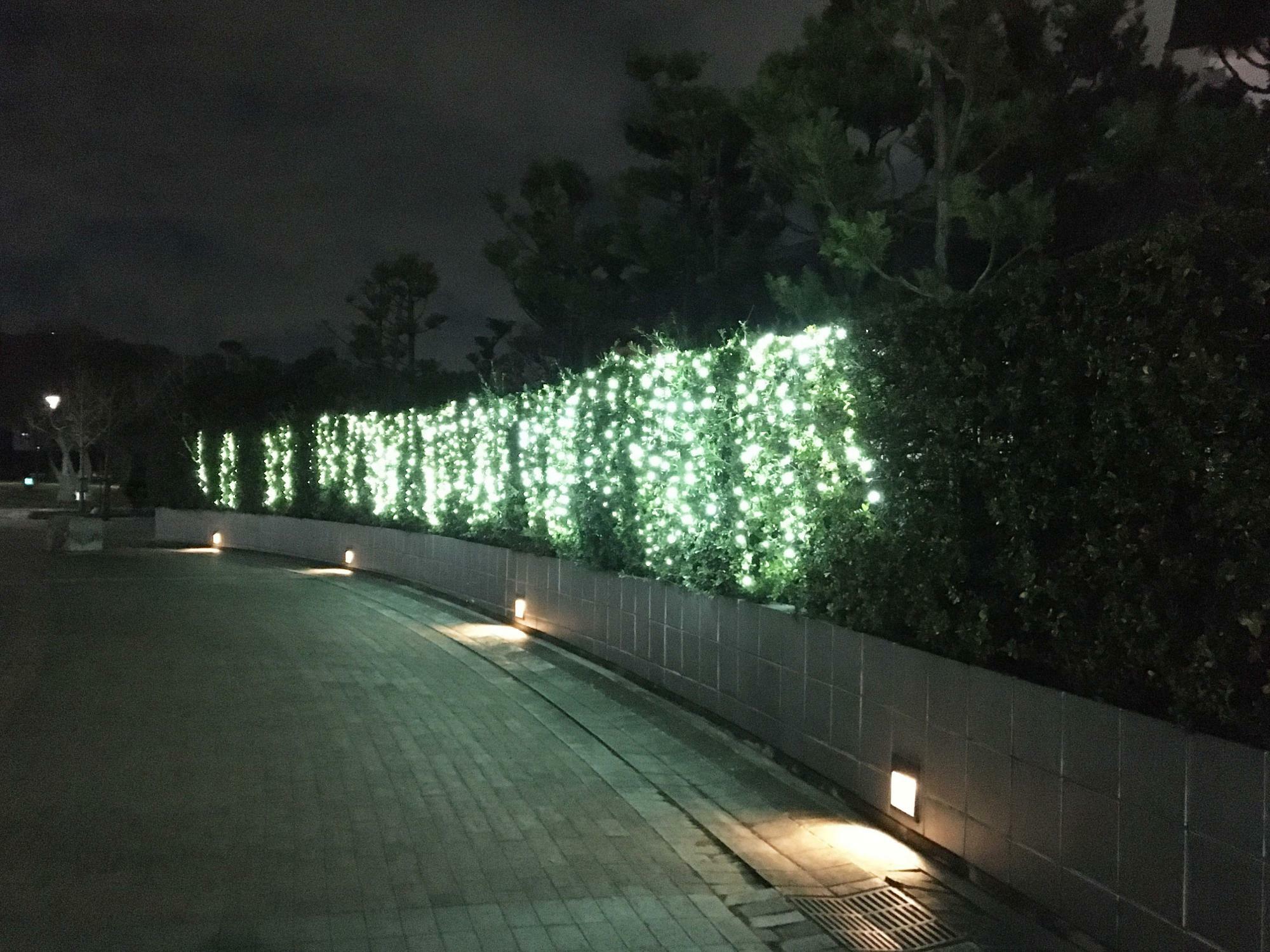 東大阪市民美術センターライトアップ