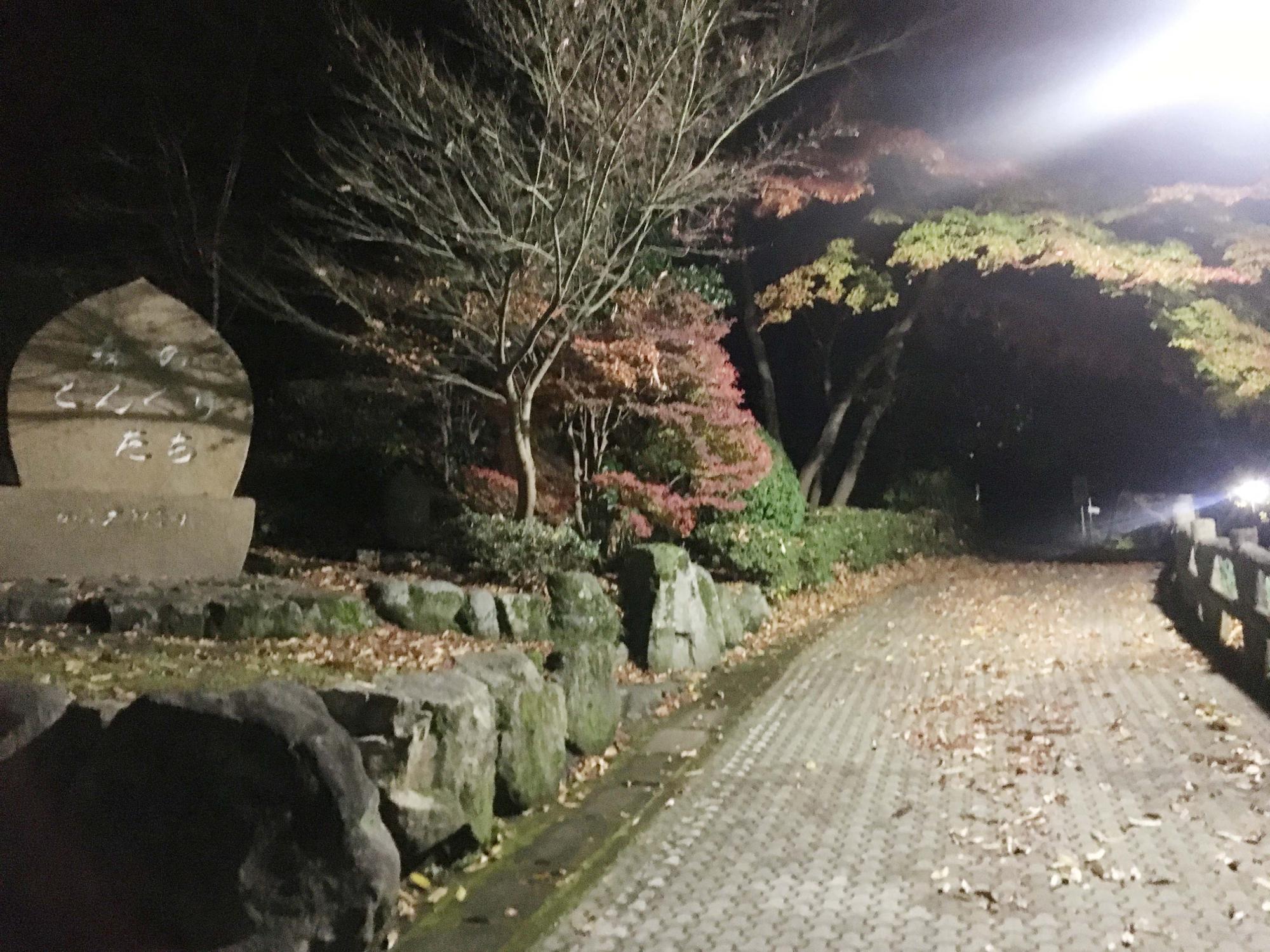 枚岡公園　森のどんぐりたち