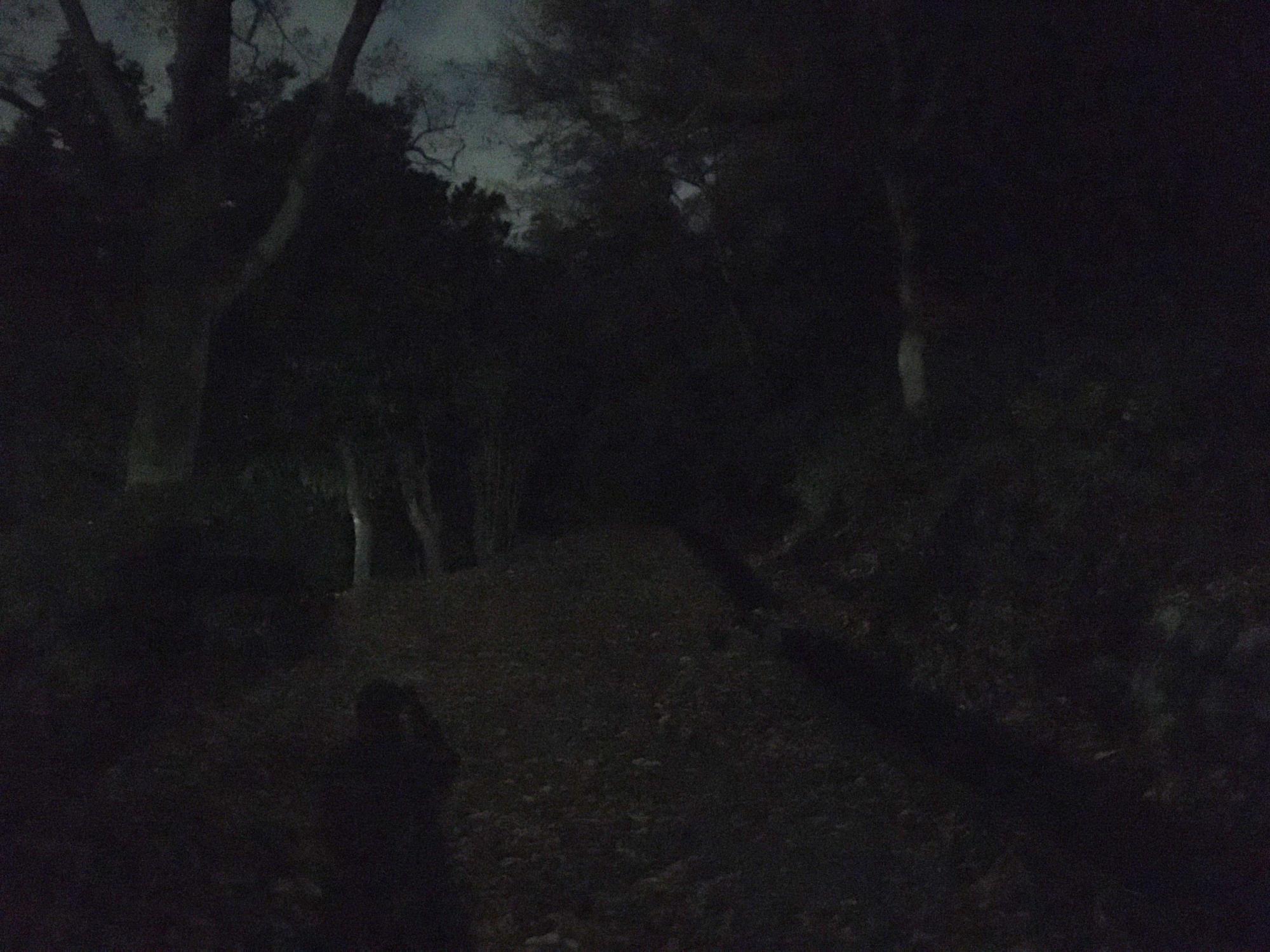 夜の山道