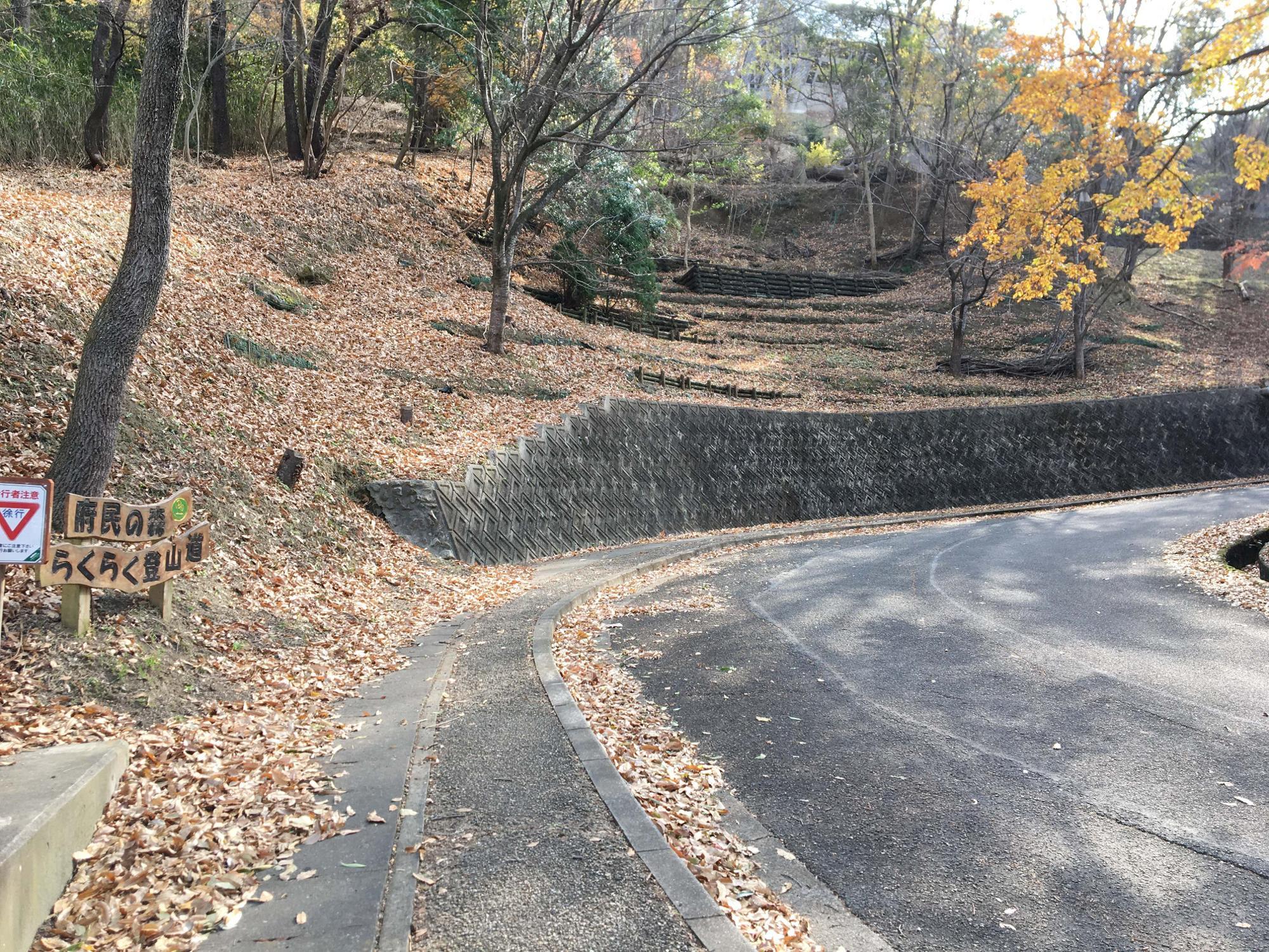 らくらく登山道入り口