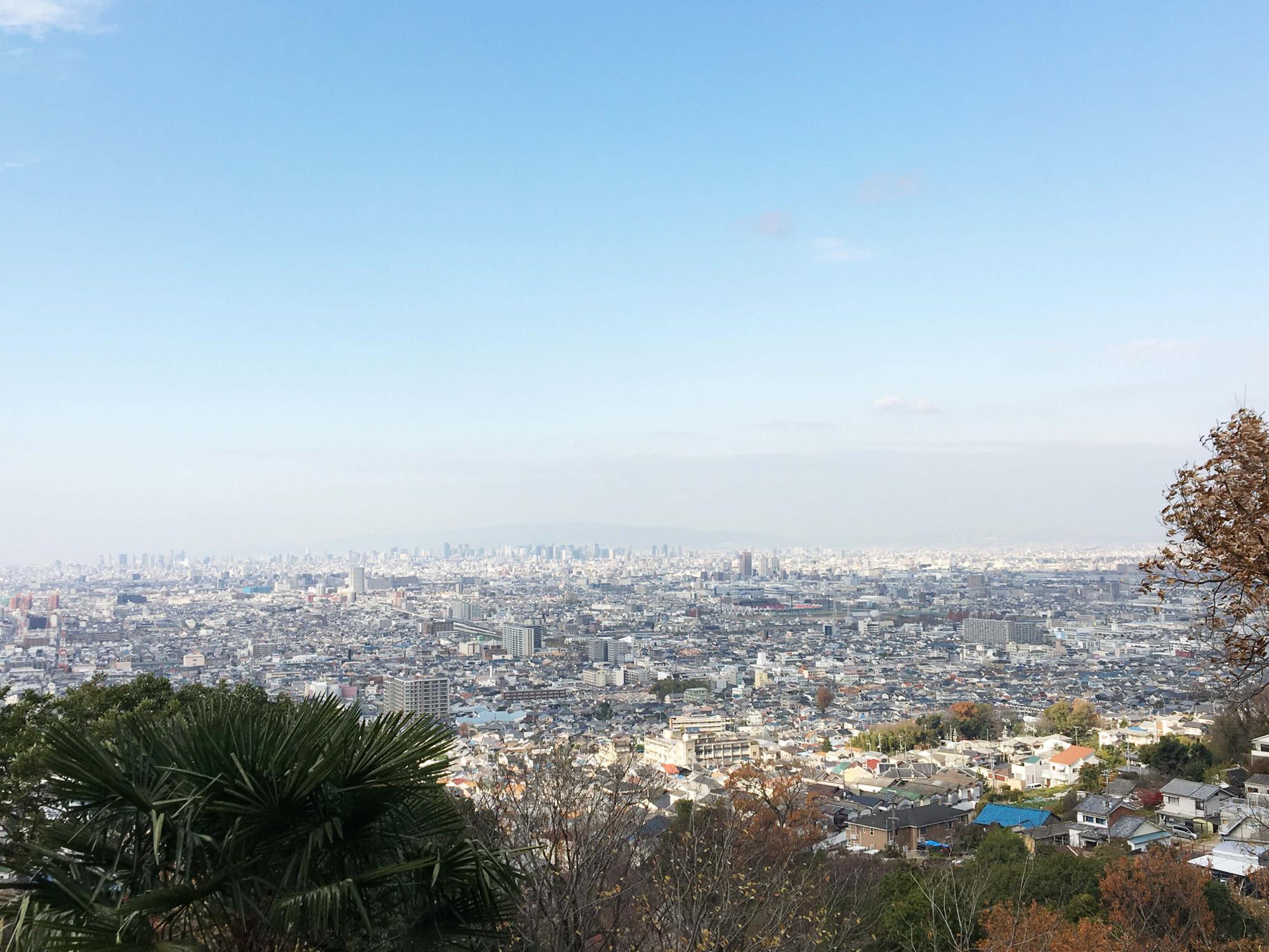 展望台からの眺め