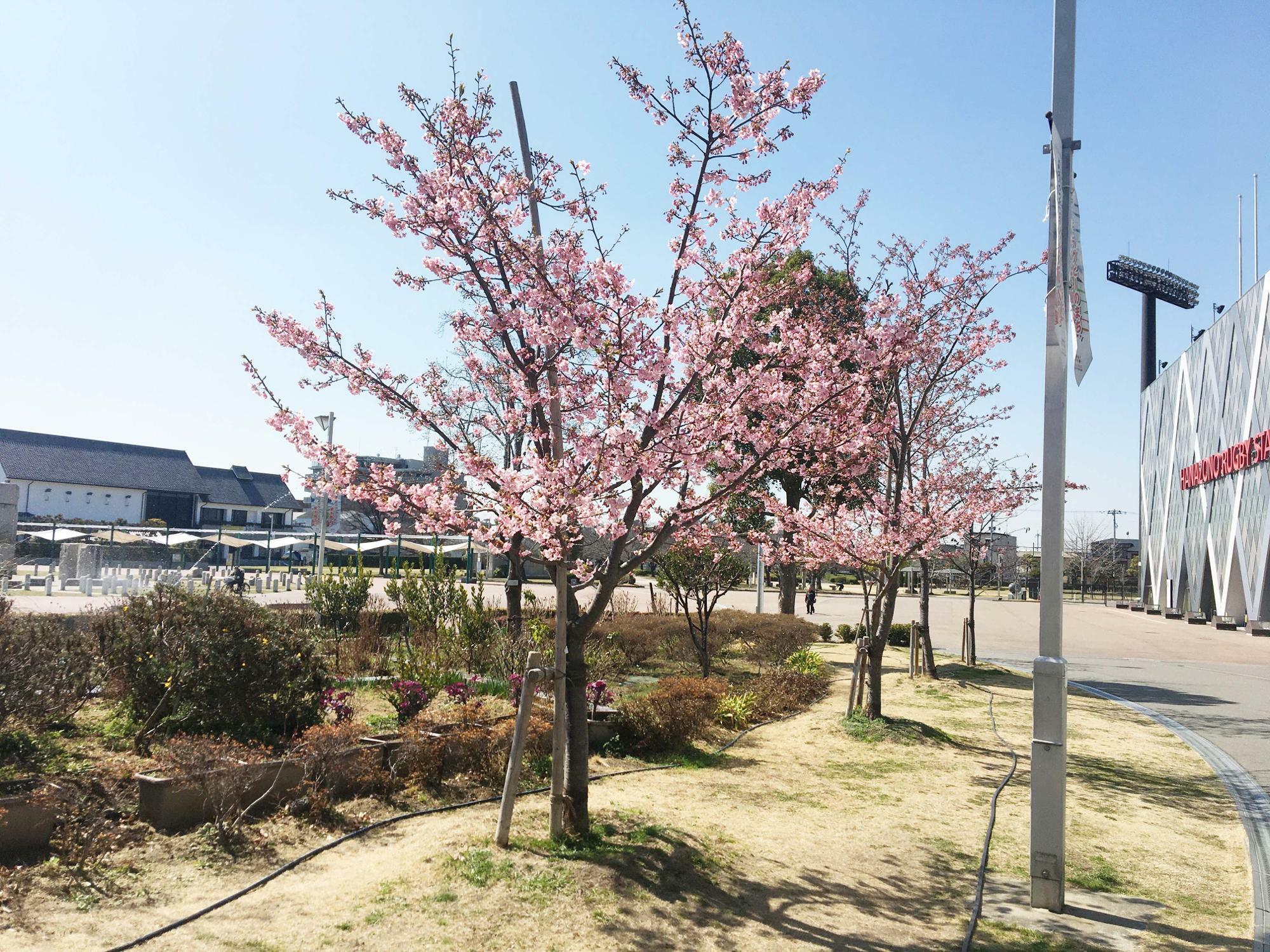 花園中央公園