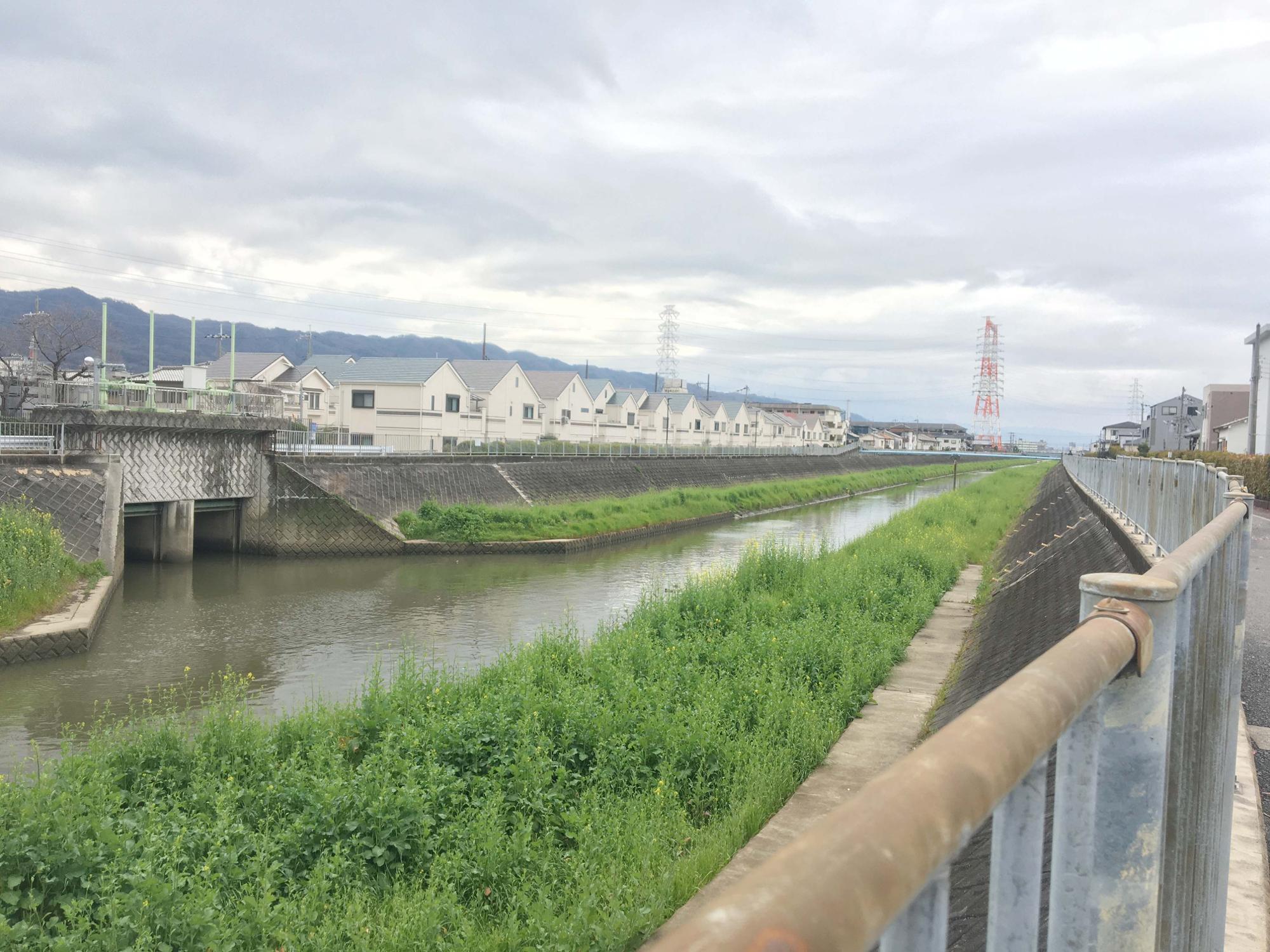 恩智川　恩智川治水緑地方面