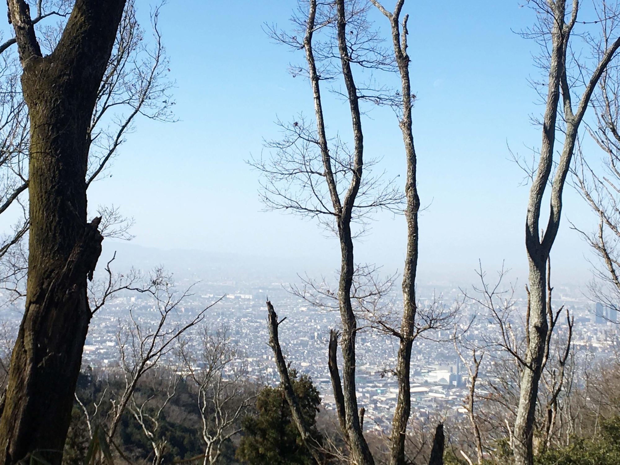 なるかわ休憩所からの眺め