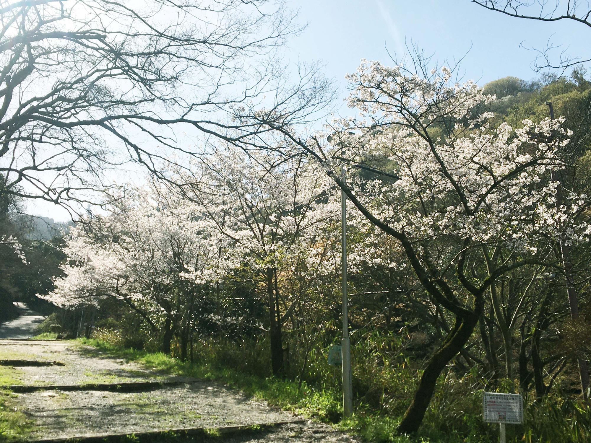 枚岡公園