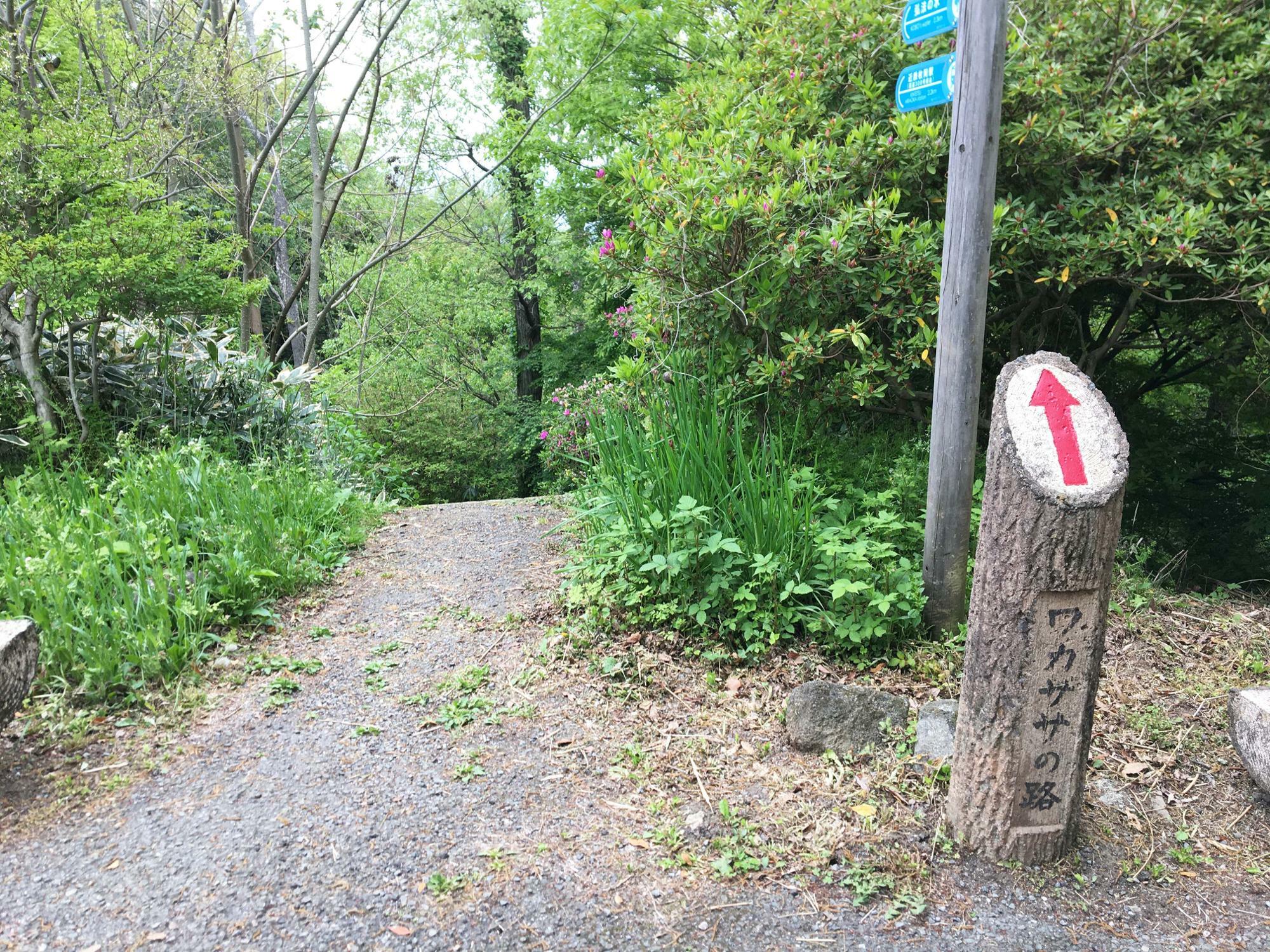 神津嶽コース　ワカササの路方面