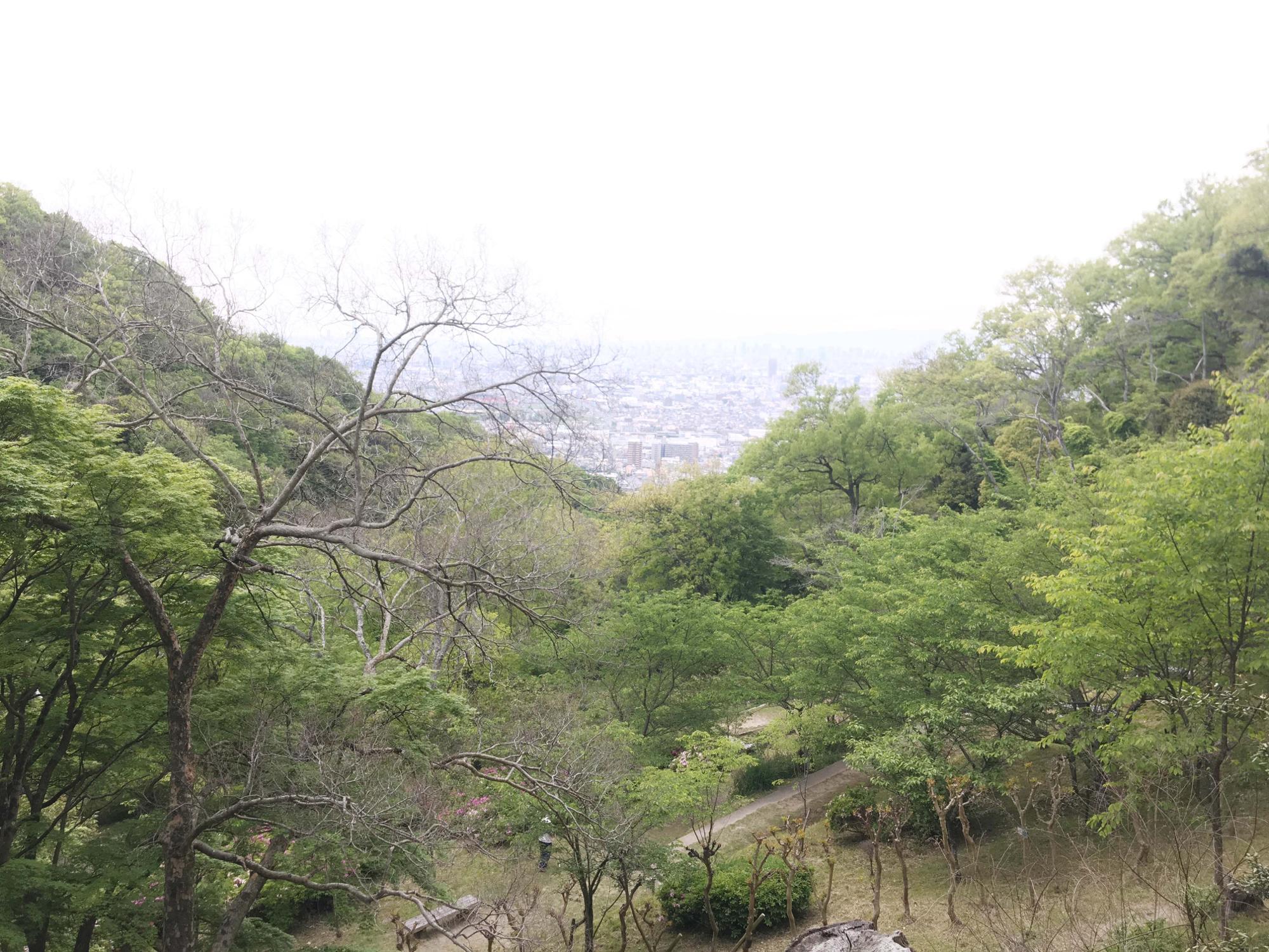 桜広場