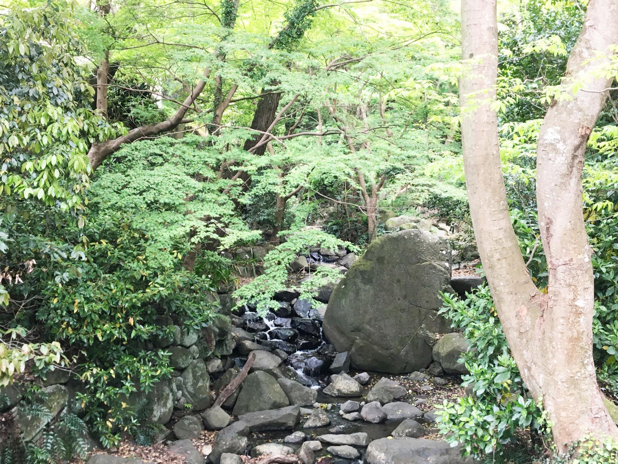 椋ヶ根橋からの眺め