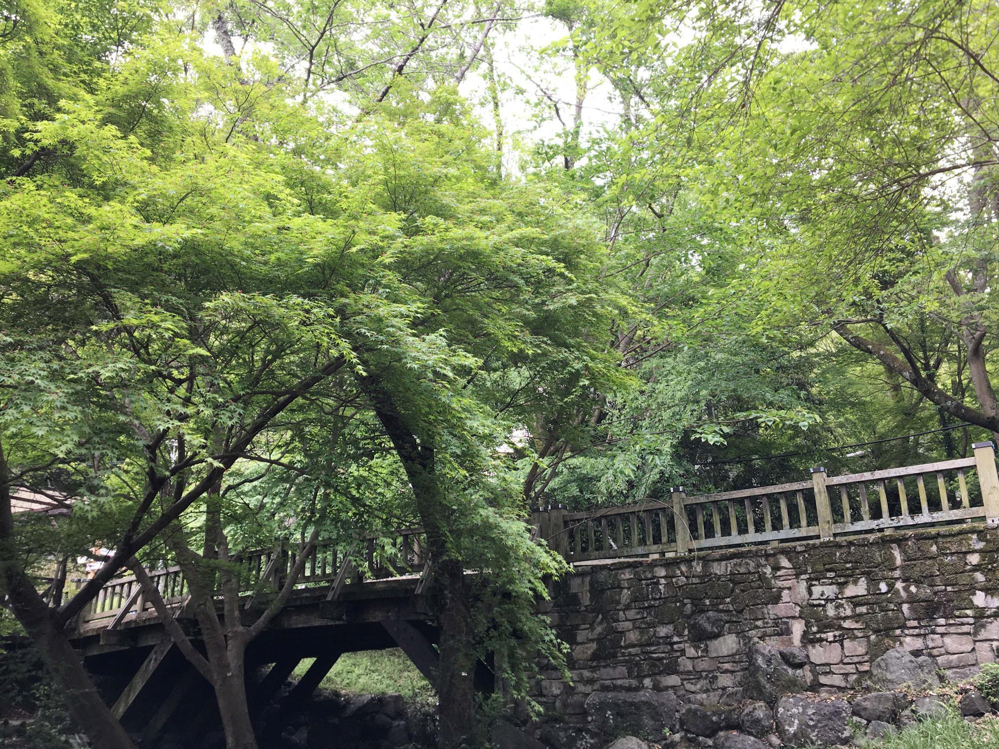 椋ヶ根橋