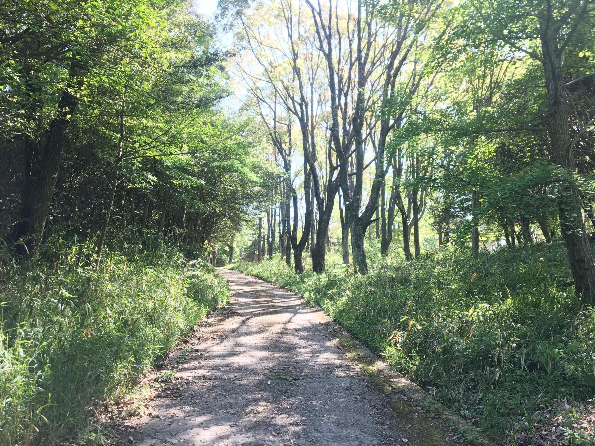 万葉の路順路