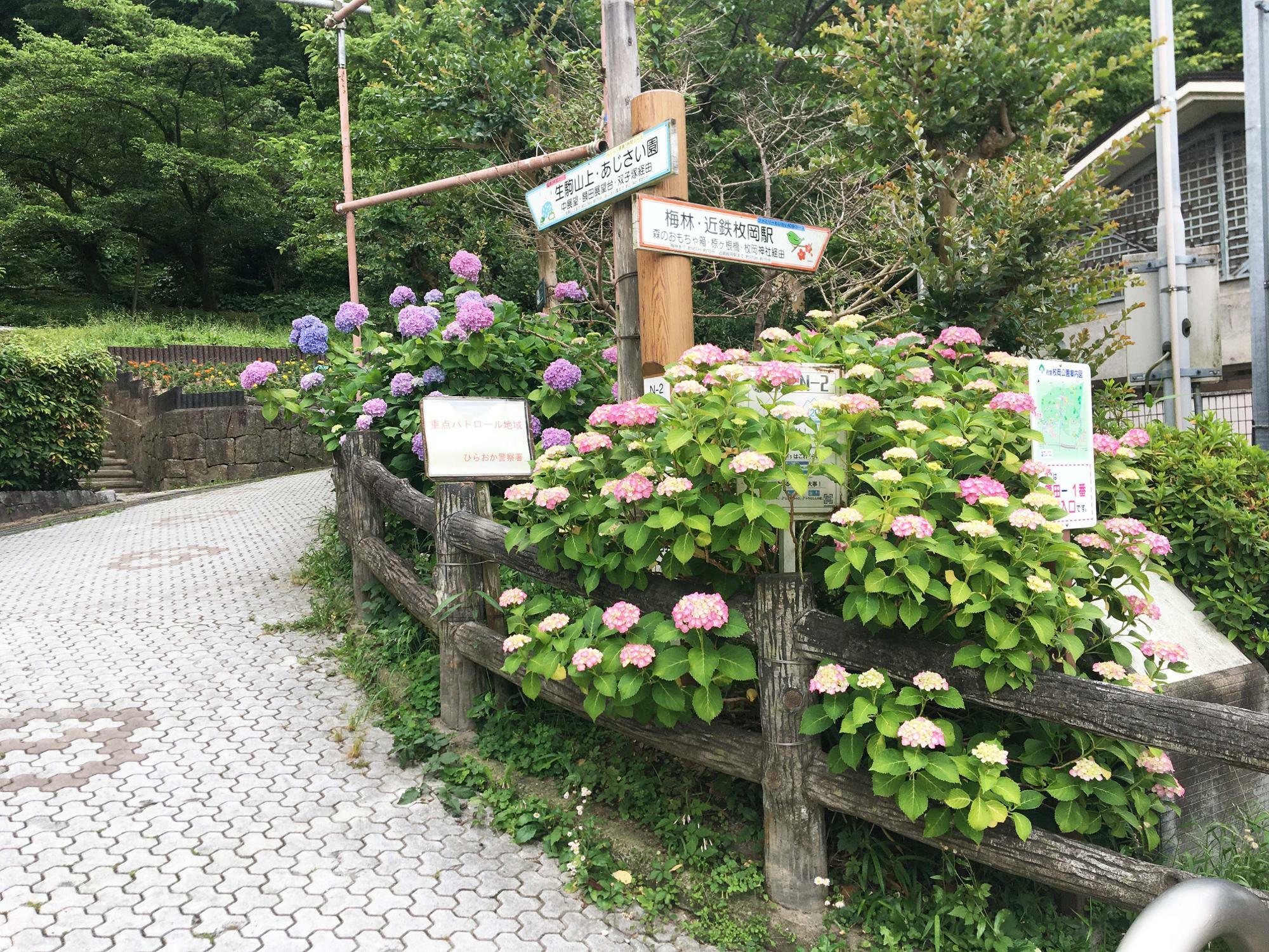 枚岡公園　入り口付近