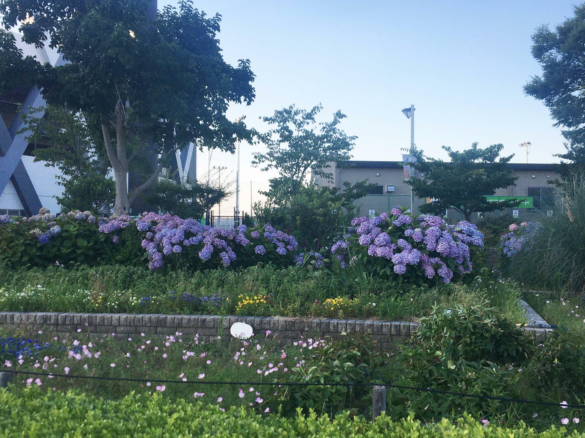 「東大阪市ラグビー場」前の花壇