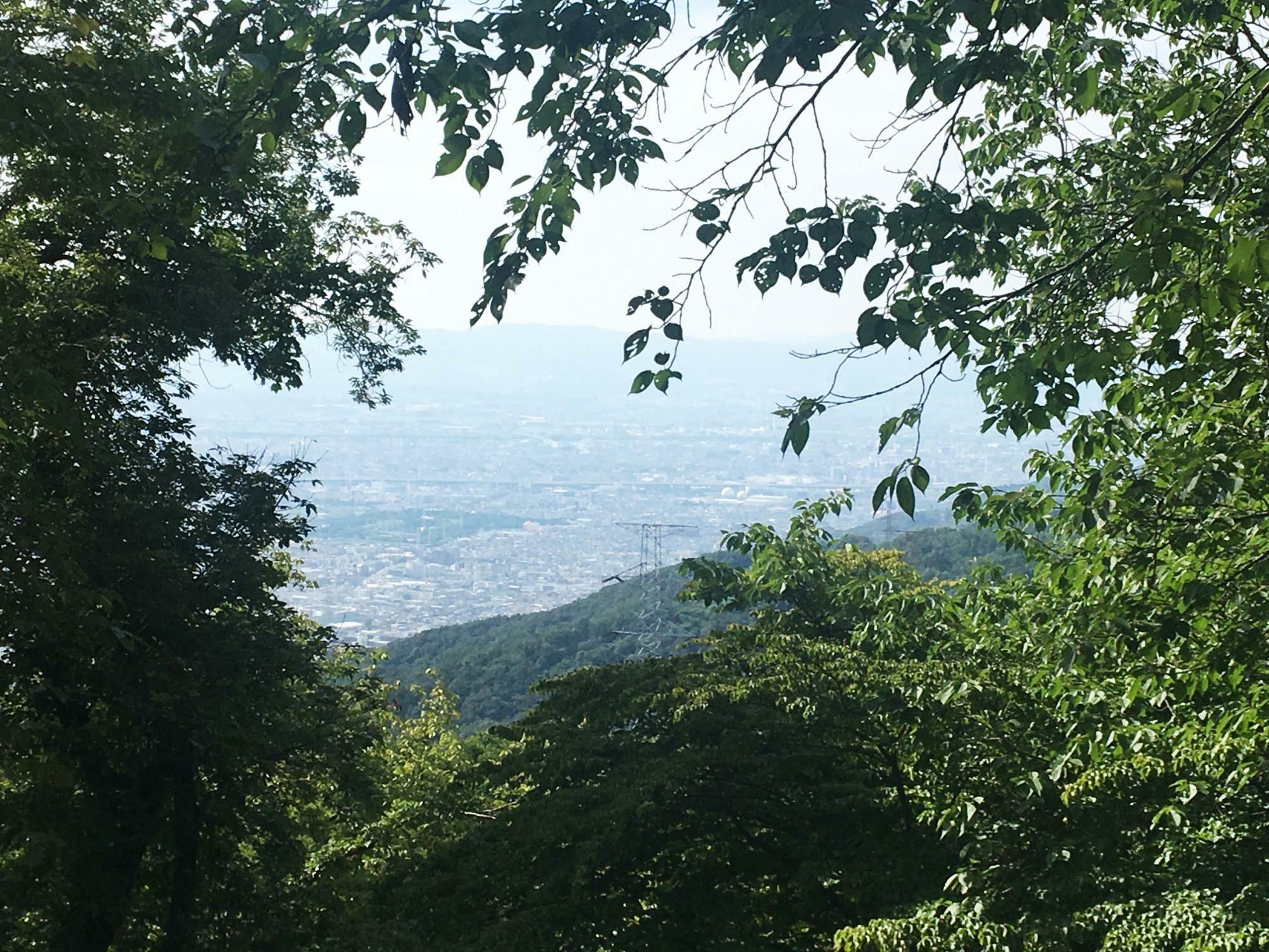 ぬかたアジサイ園からの眺め