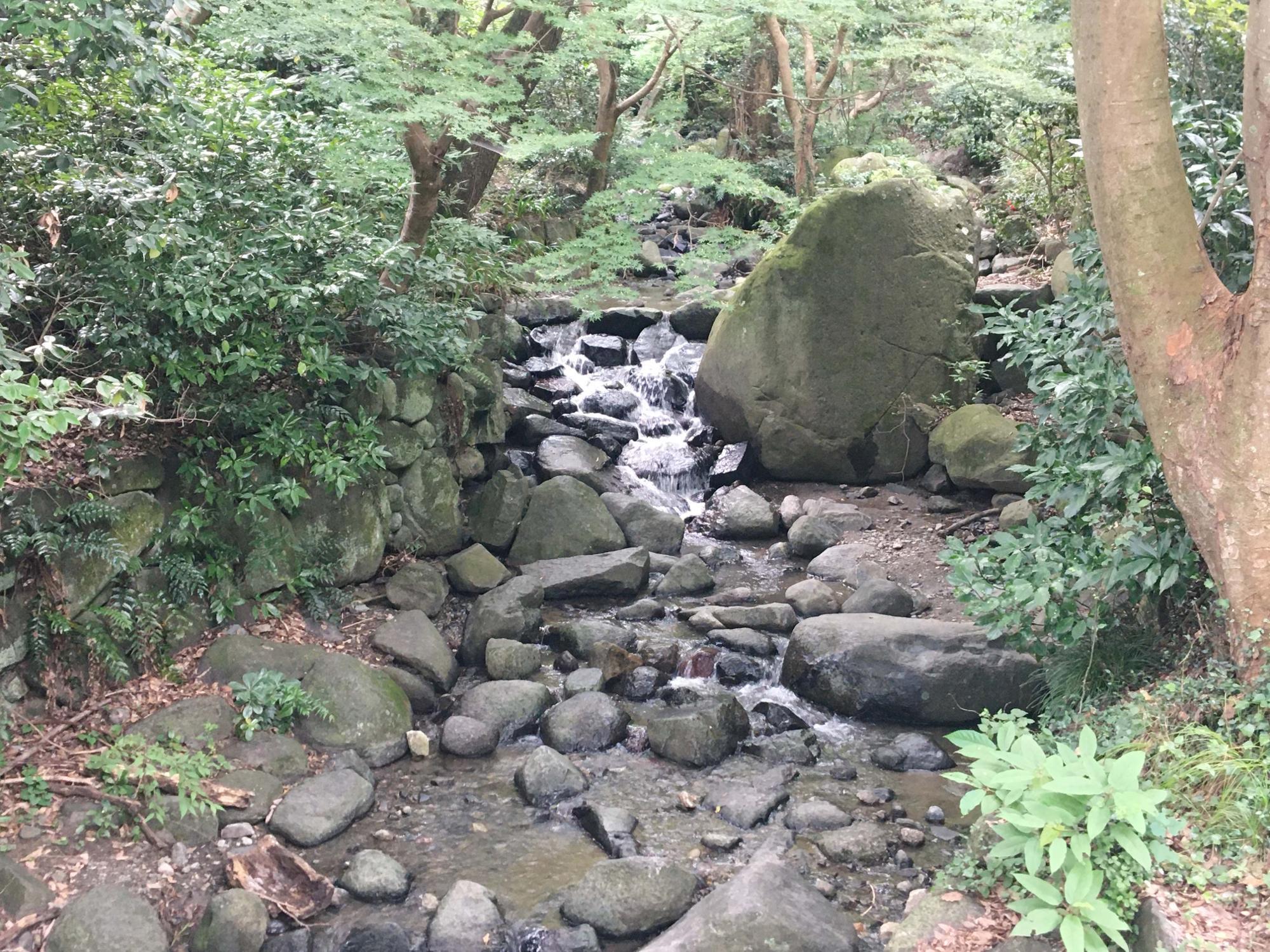 椋ヶ根橋麓