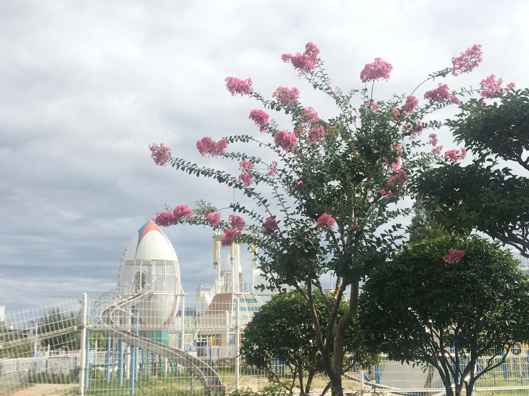 花園中央公園