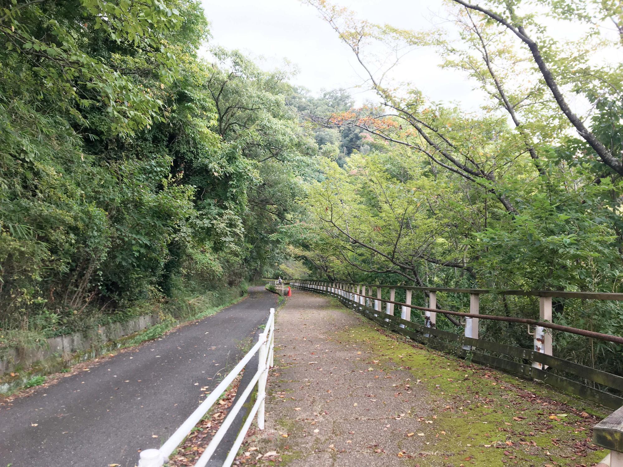 らくらく登山道