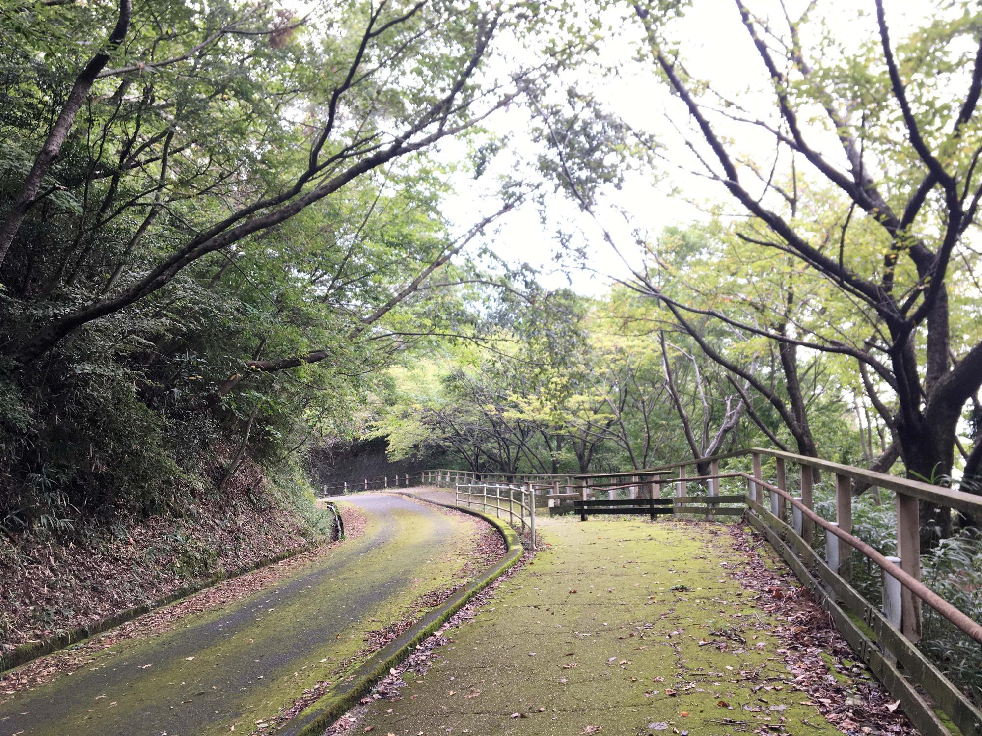 らくらく登山道