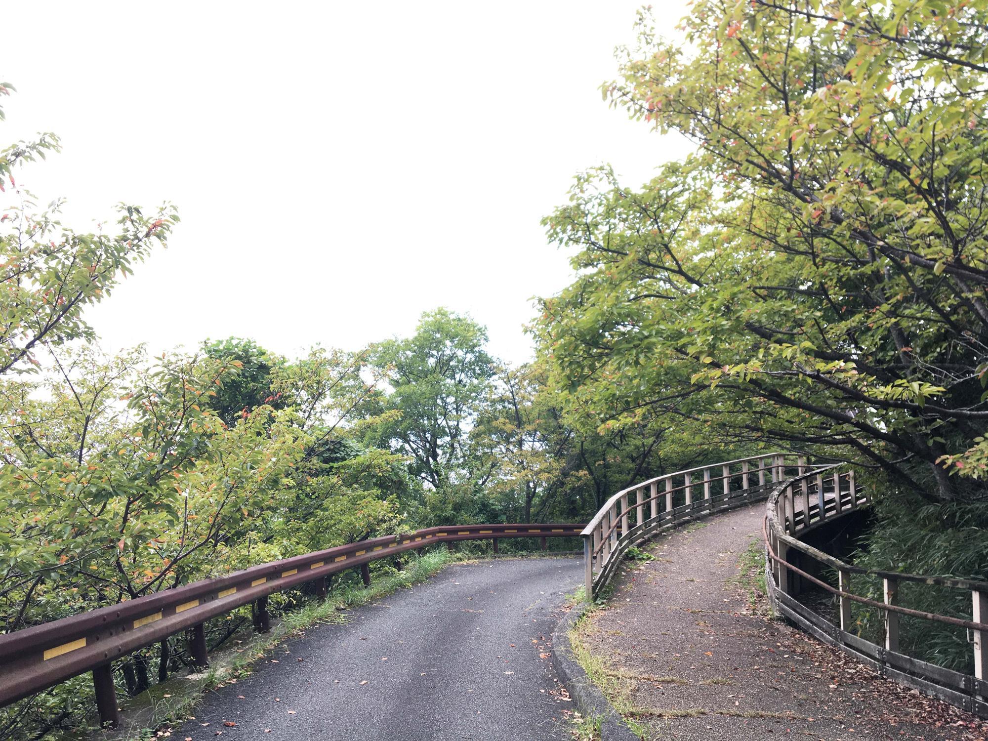 らくらく登山道