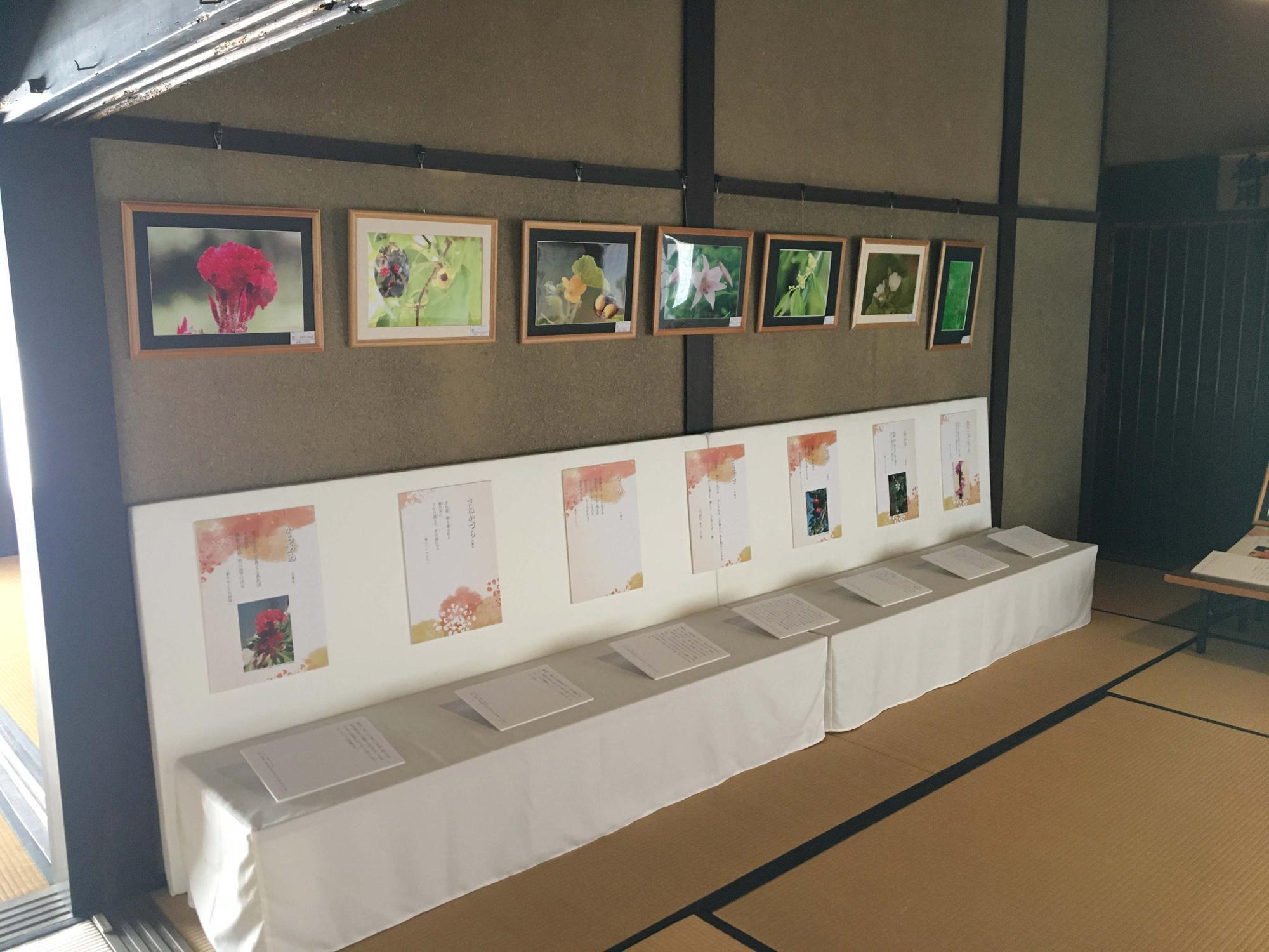 万葉の花写真展