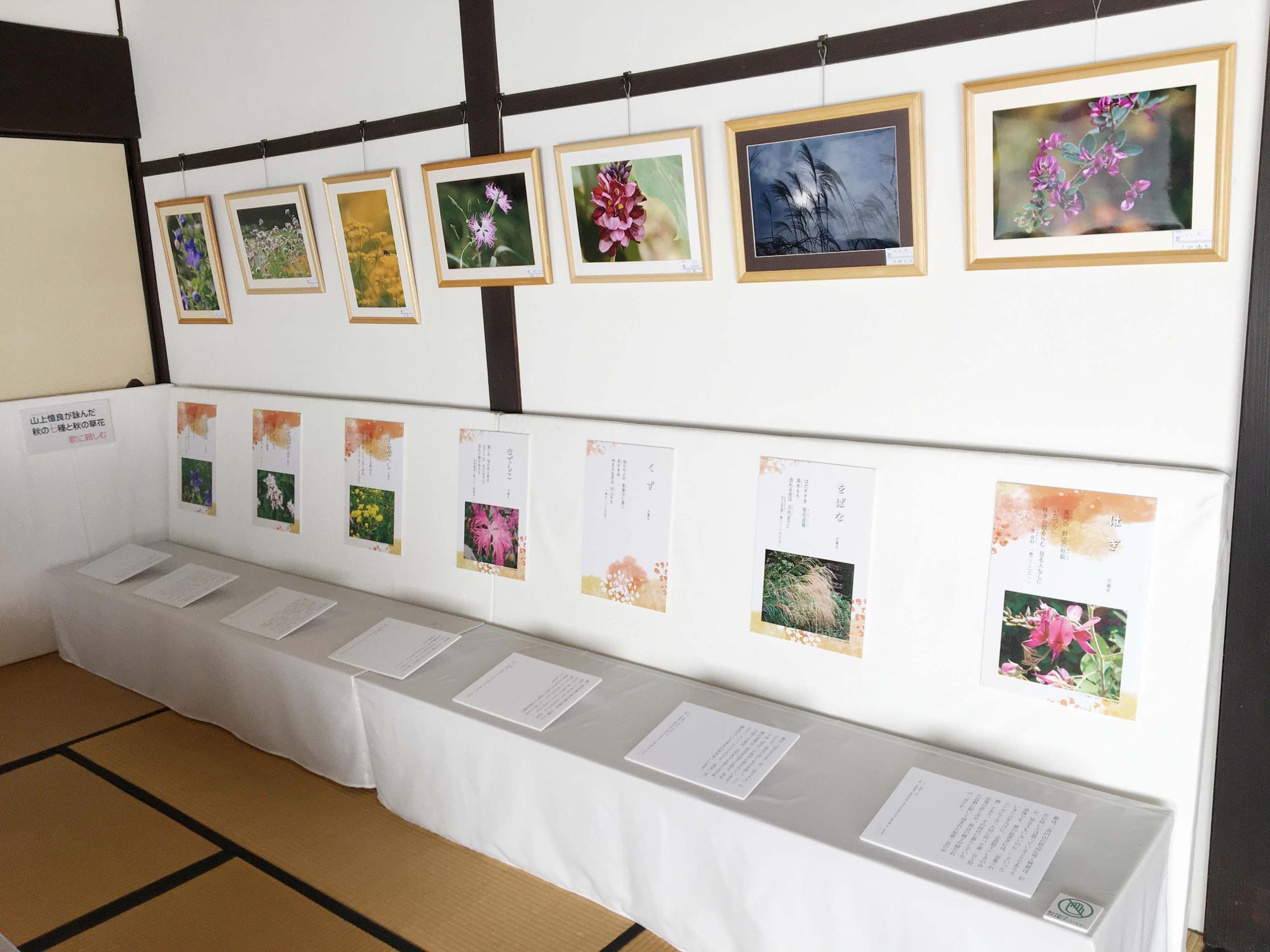 万葉の花写真展