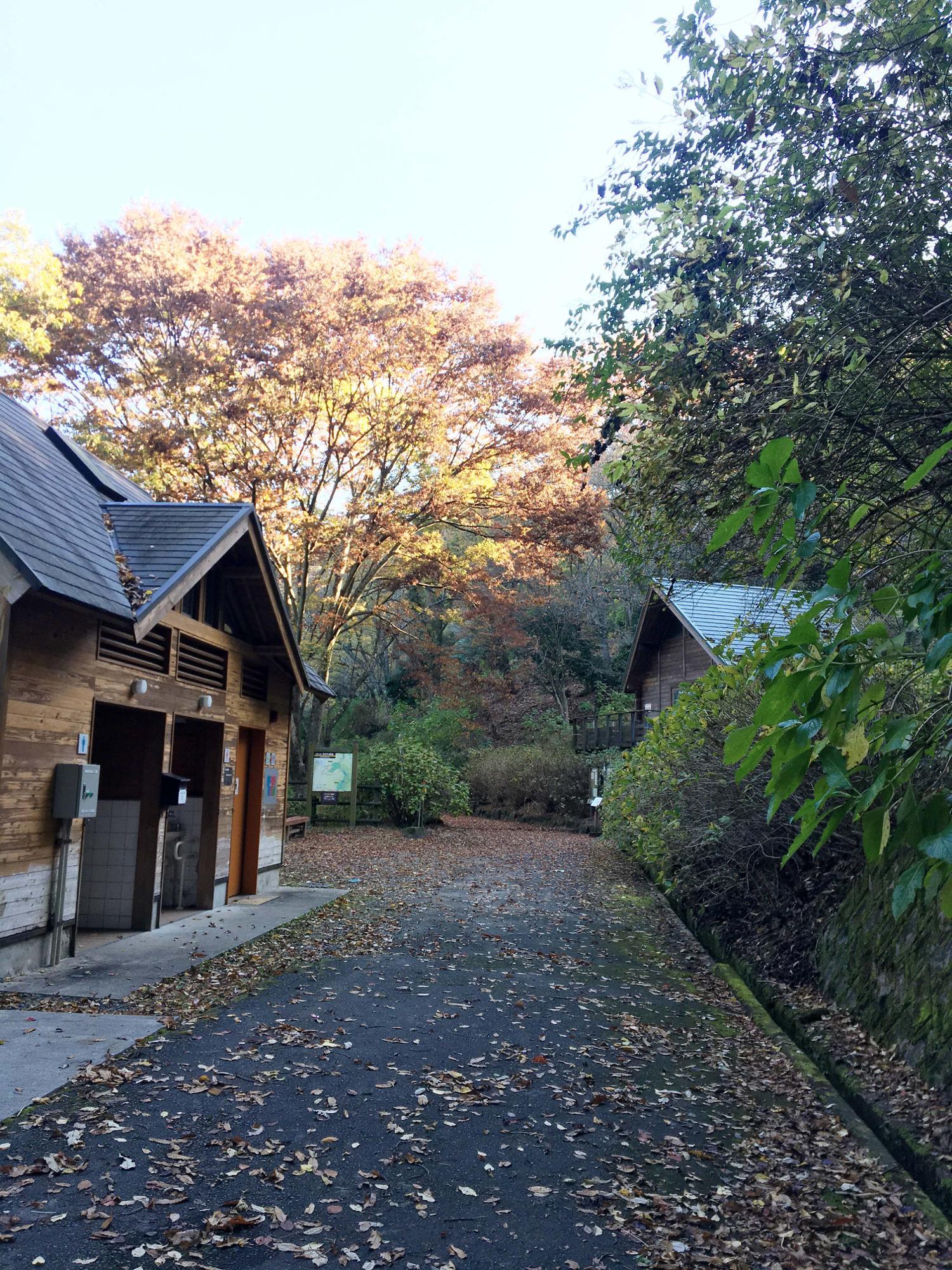 ぬかたアジサイ園