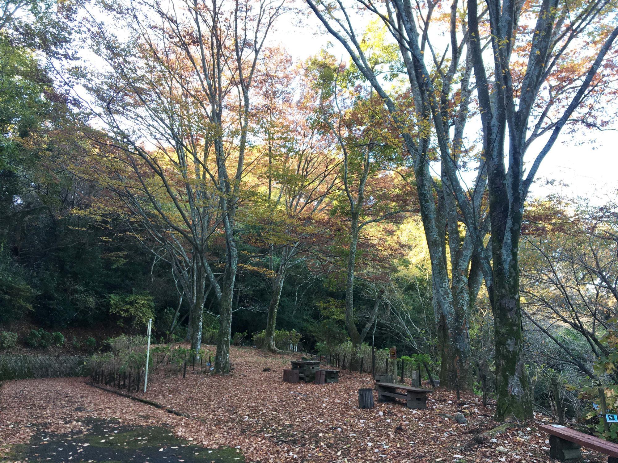 ぬかたアジサイ園