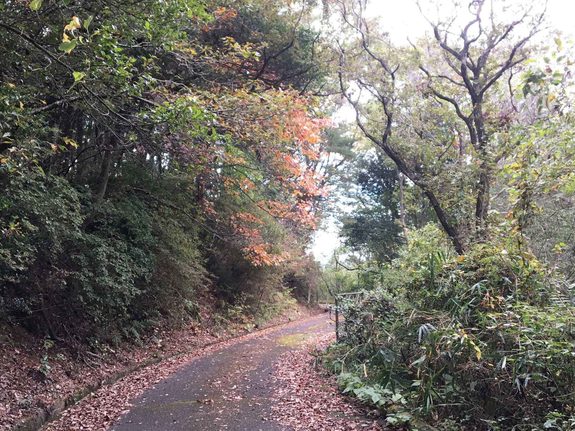 生駒縦走路