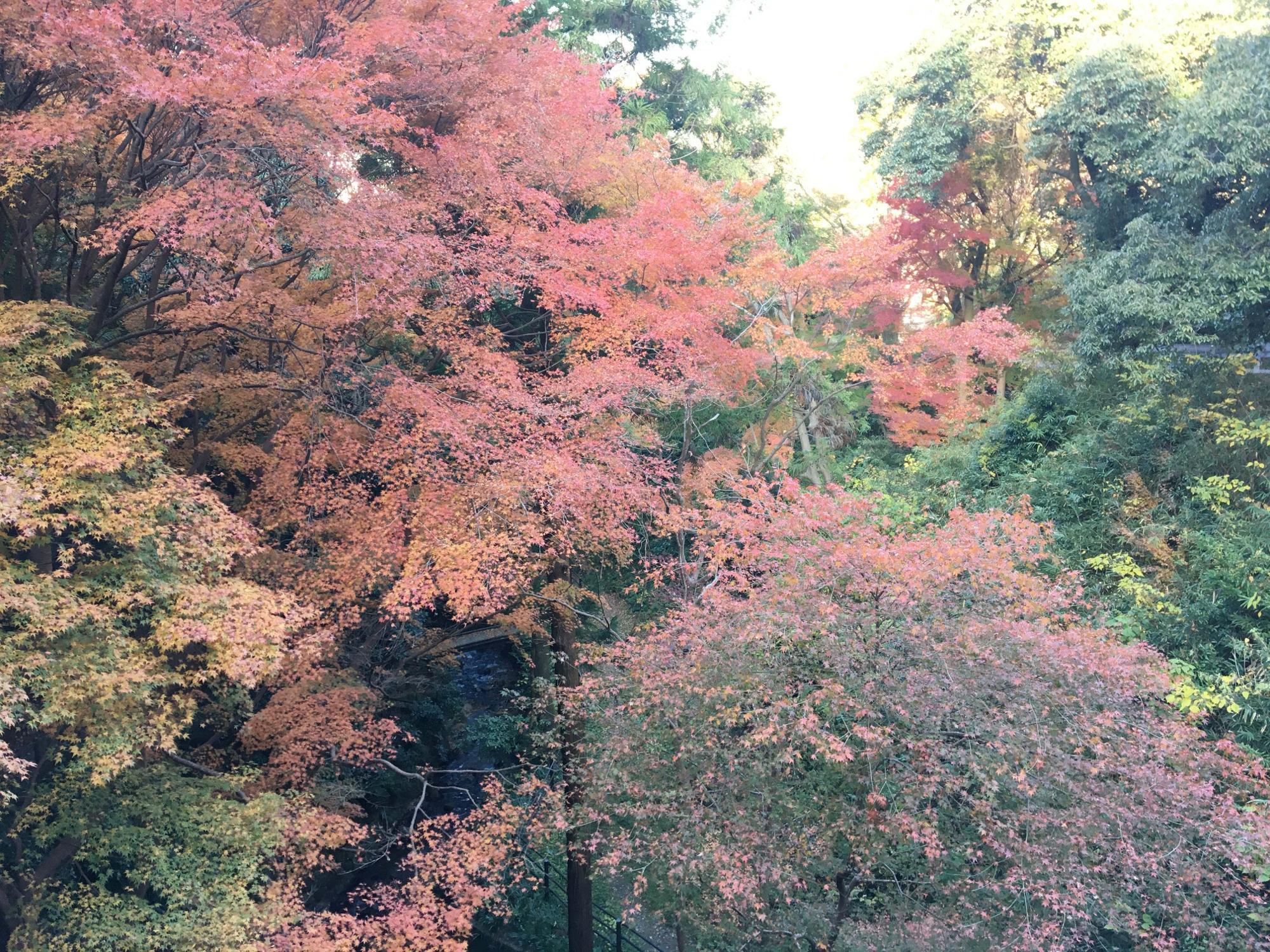 豊浦橋