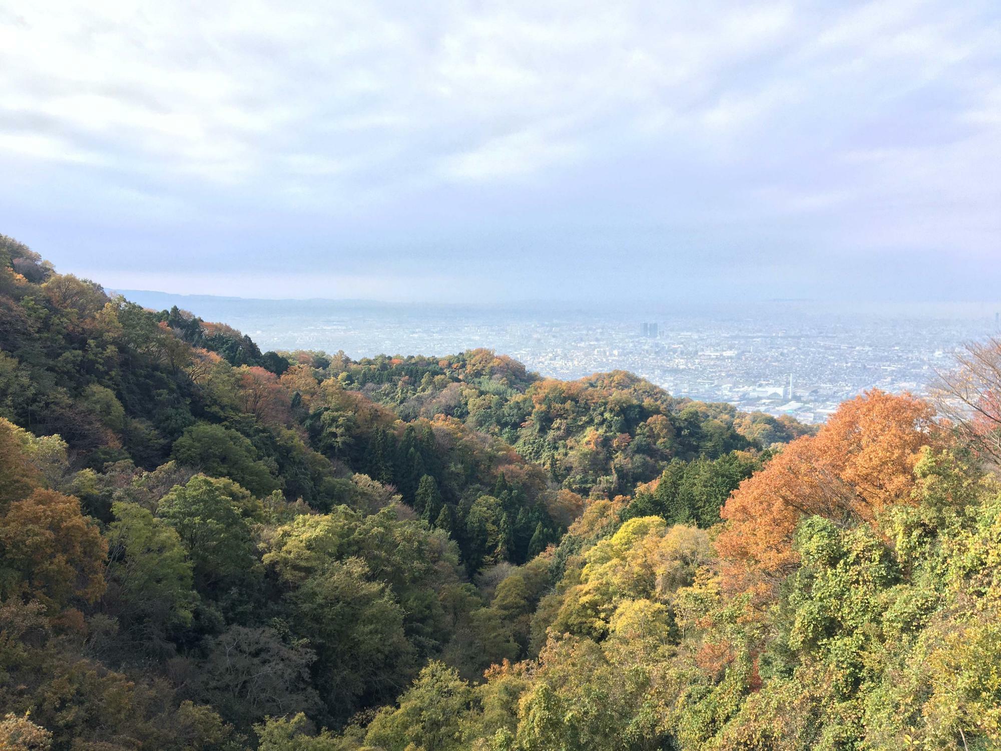 生駒山の紅葉