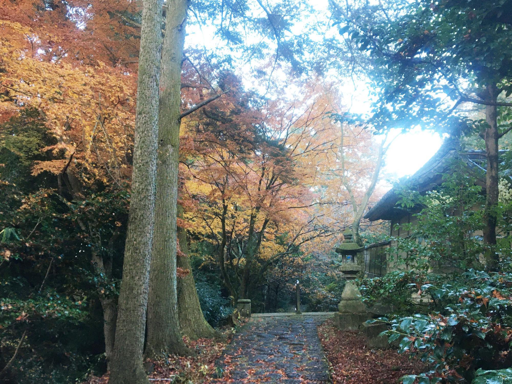 興法寺　入口